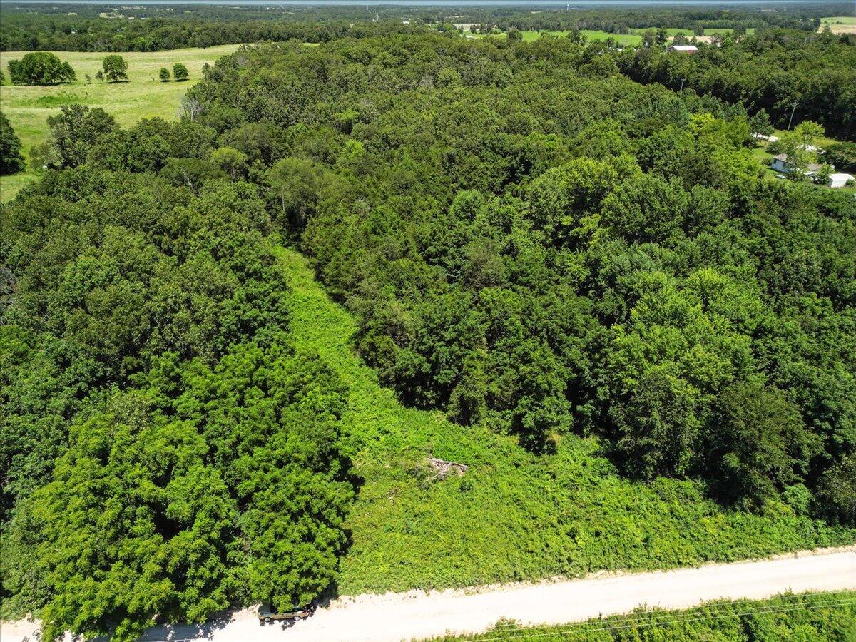 Photo 2 - Land for sale – 000  Highway 17   Summersville, MO