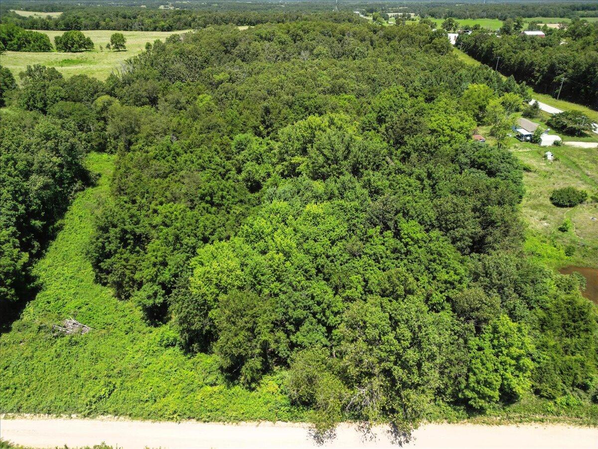 Photo 3 - Land for sale – 000  Highway 17   Summersville, MO