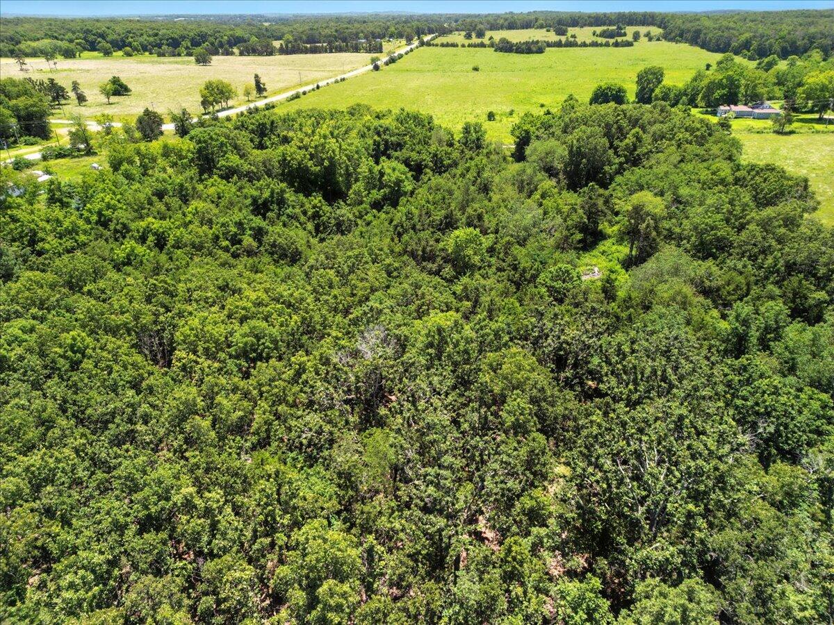 Photo 12 - Land for sale – 000  Highway 17   Summersville, MO