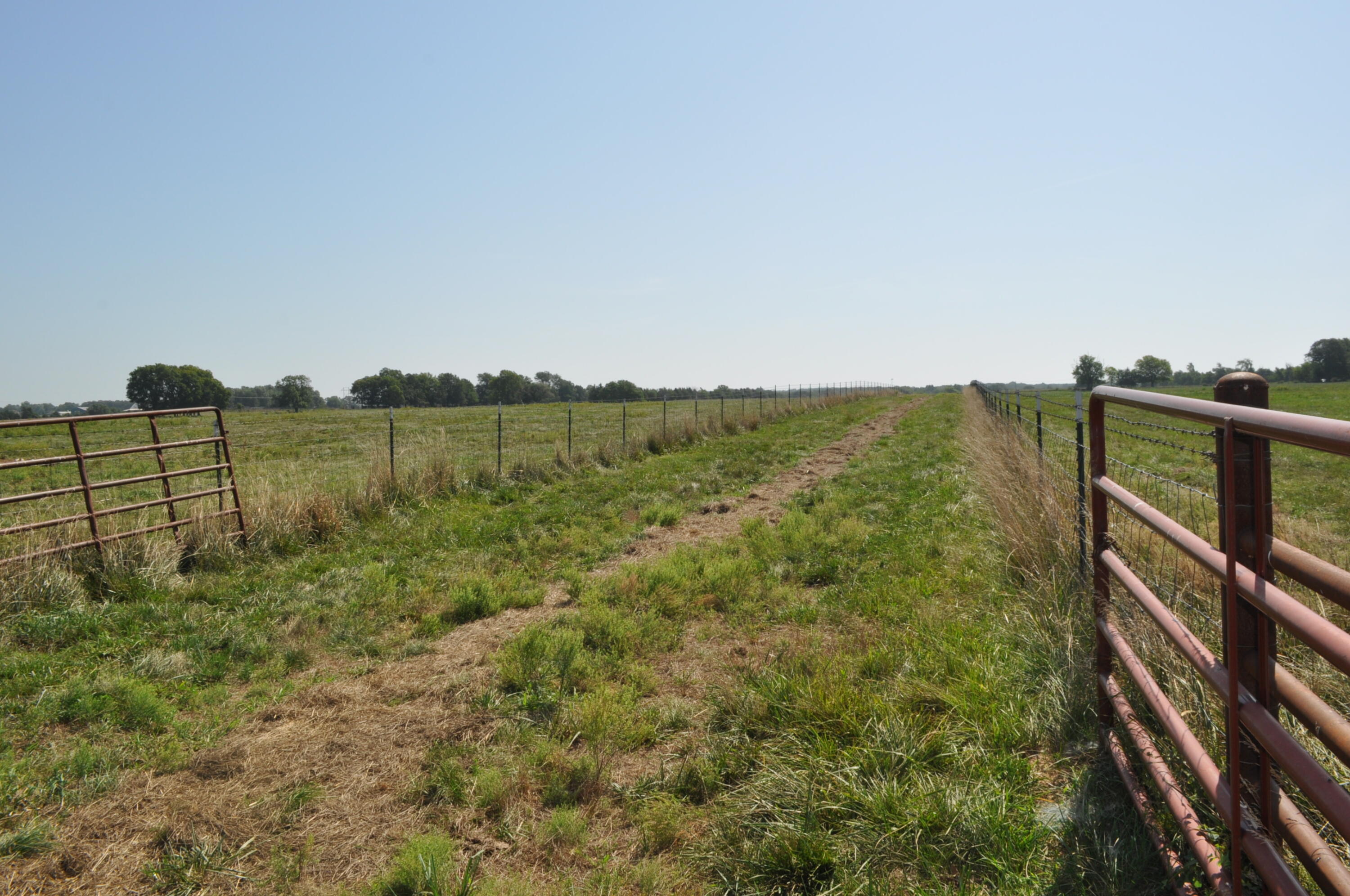 Photo 6 - Land for sale – 000 N Farm Road 175   Springfield, MO