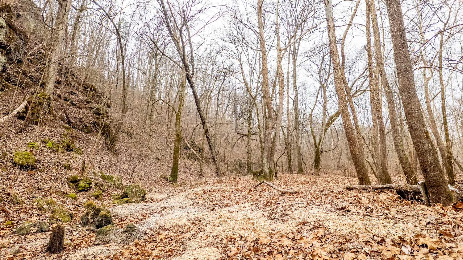 Photo 42 - Land for sale – 000  County Road 19-A   Alton, MO