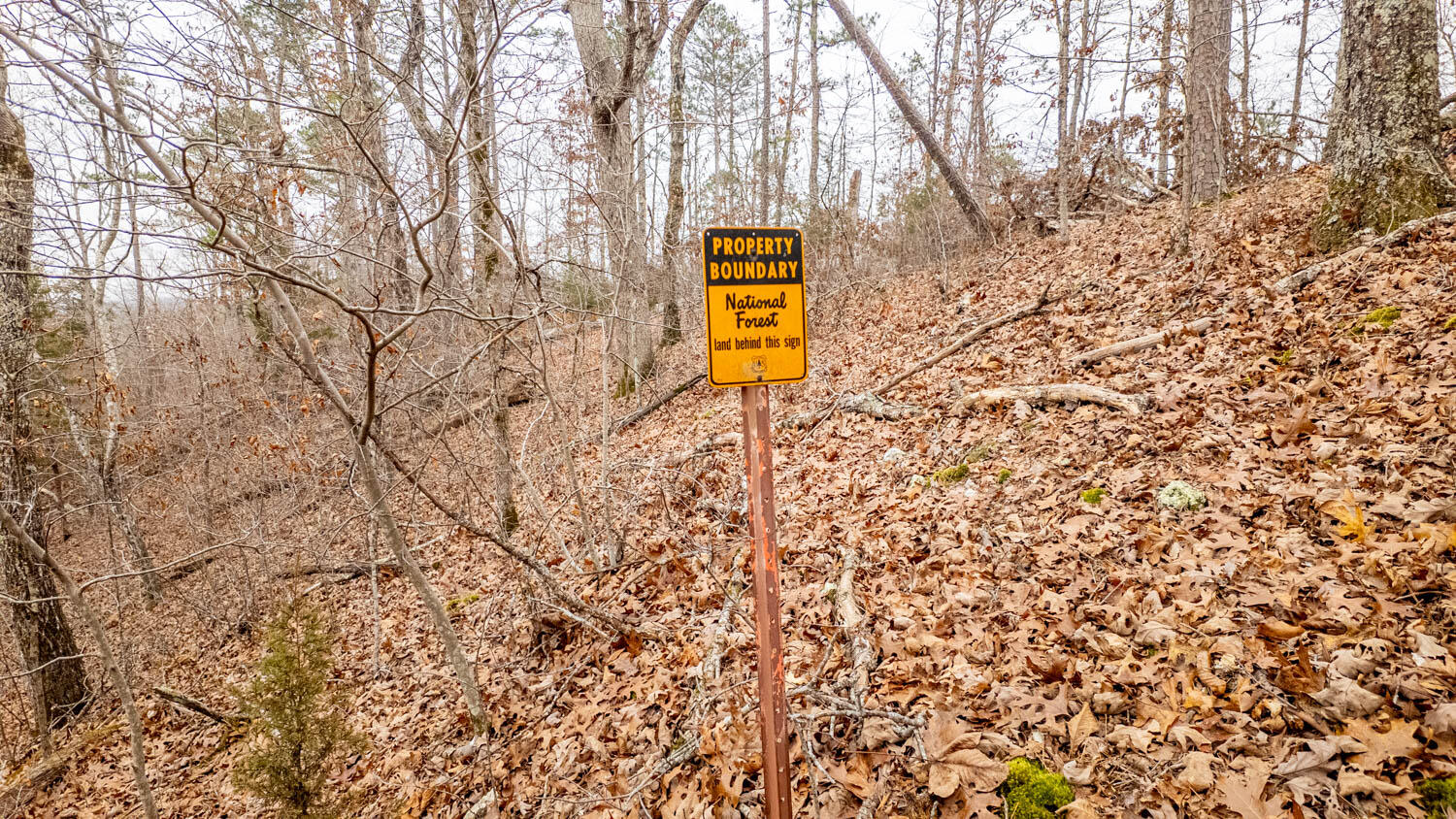 Photo 26 - Land for sale – 000  County Road 19-A   Alton, MO