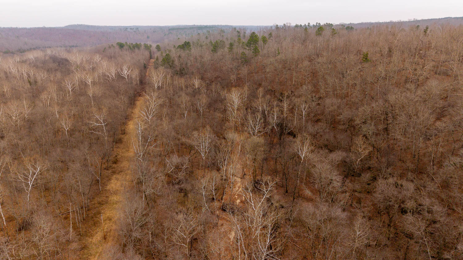 Photo 22 - Land for sale – 000  County Road 19-A   Alton, MO