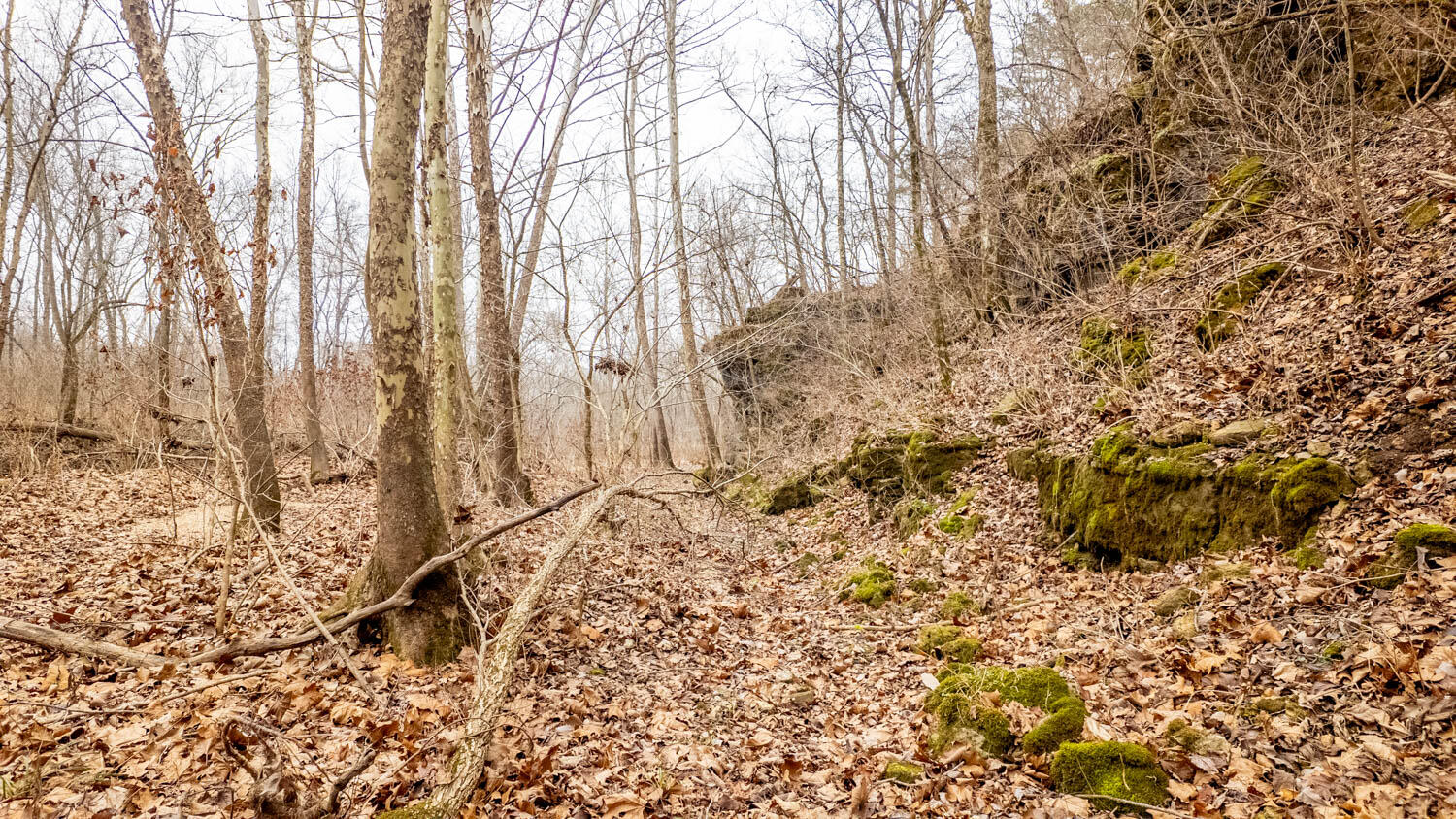 Photo 12 - Land for sale – 000  County Road 19-A   Alton, MO