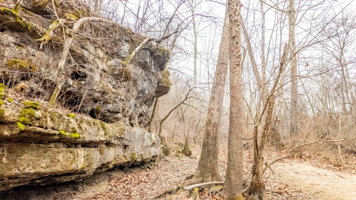 Photo 48 - Land for sale – 000  County Road 19-A   Alton, MO