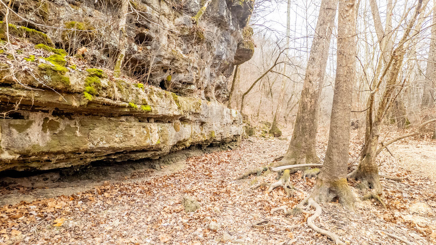 Photo 47 - Land for sale – 000  County Road 19-A   Alton, MO