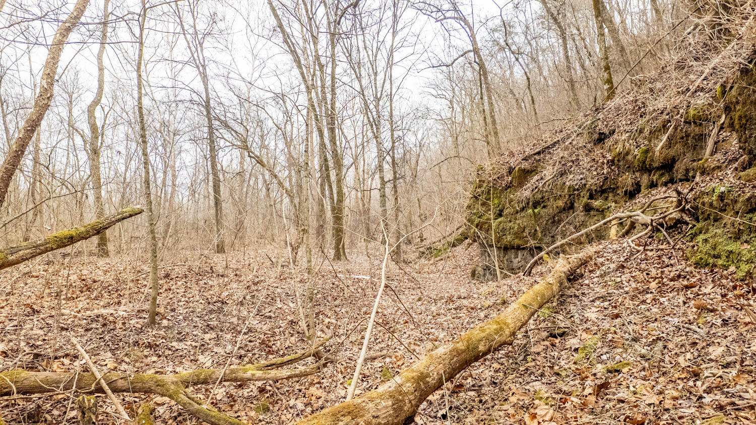 Photo 37 - Land for sale – 000  County Road 19-A   Alton, MO