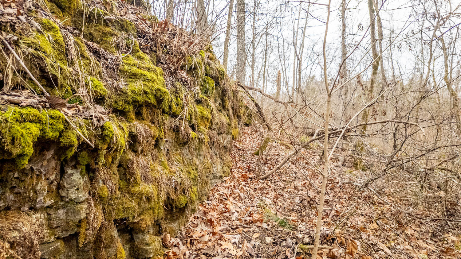 Photo 34 - Land for sale – 000  County Road 19-A   Alton, MO