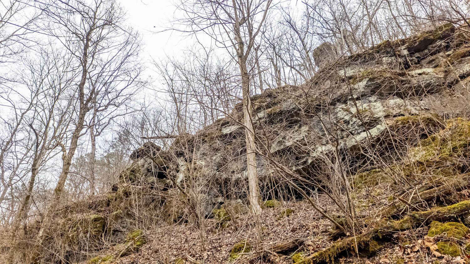 Photo 11 - Land for sale – 000  County Road 19-A   Alton, MO