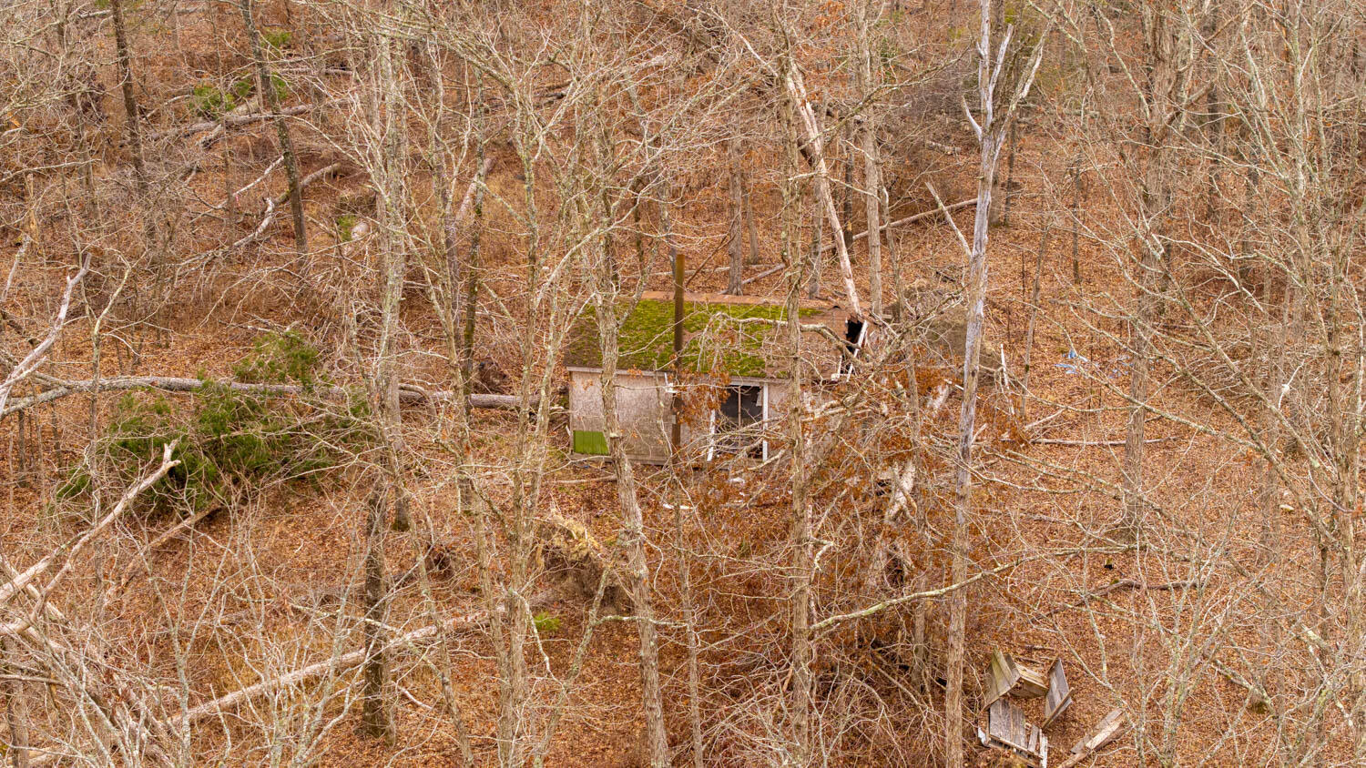 Photo 15 - Land for sale – 000  County Road 19-A   Alton, MO