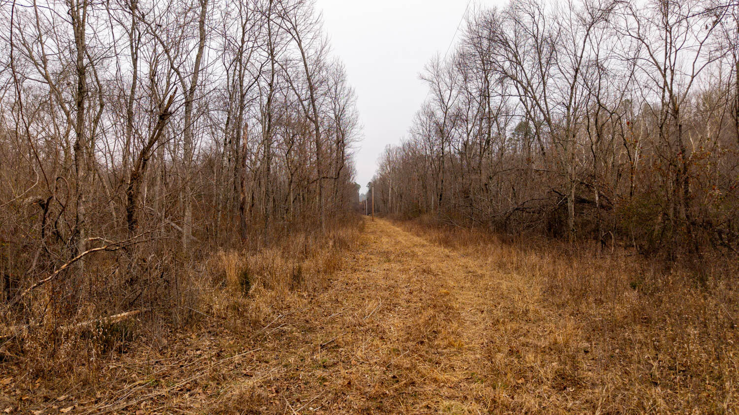 Photo 25 - Land for sale – 000  County Road 19-A   Alton, MO
