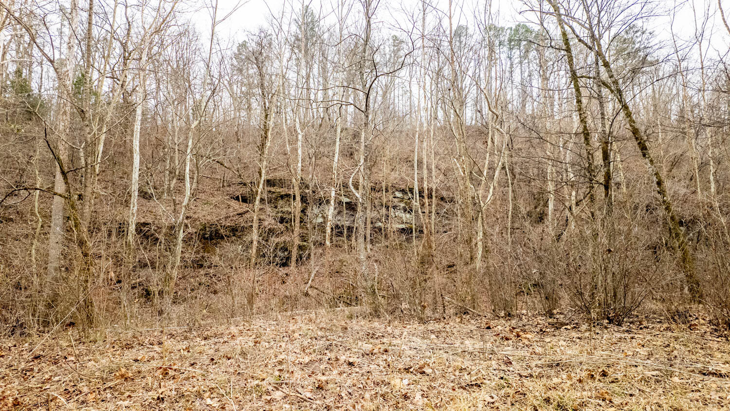 Photo 8 - Land for sale – 000  County Road 19-A   Alton, MO