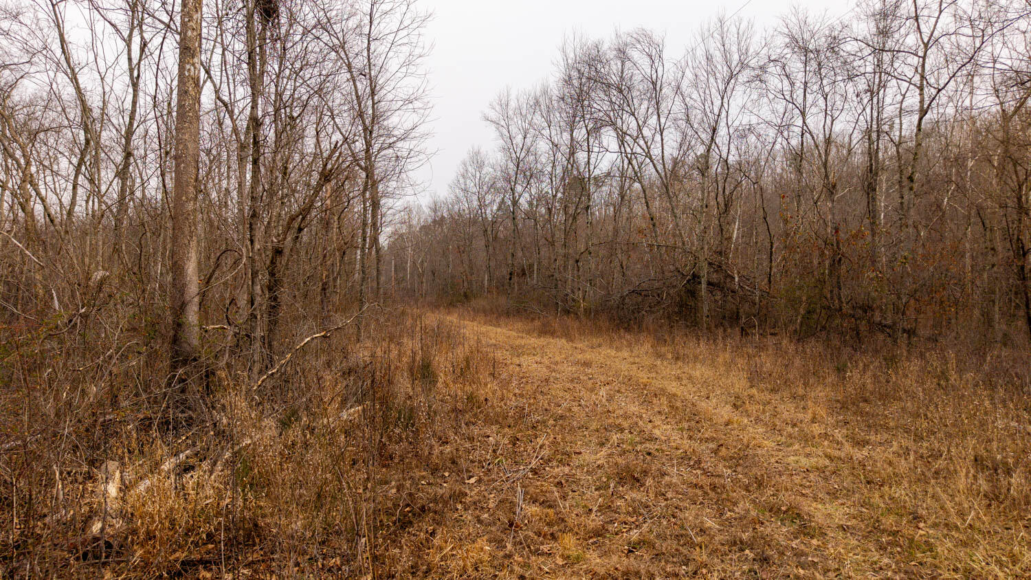 Photo 24 - Land for sale – 000  County Road 19-A   Alton, MO
