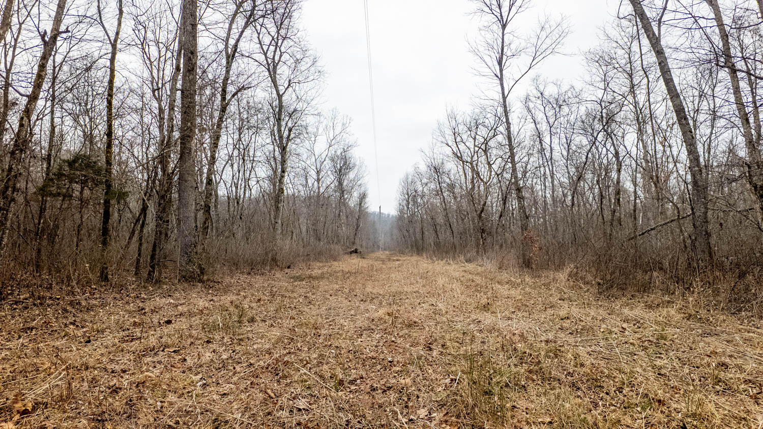Photo 6 - Land for sale – 000  County Road 19-A   Alton, MO