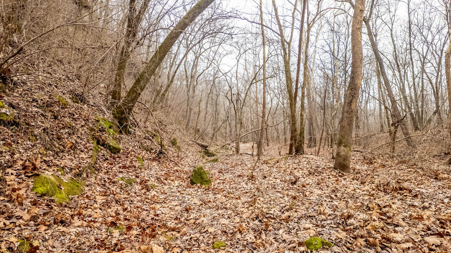 Photo 5 - Land for sale – 000  County Road 19-A   Alton, MO