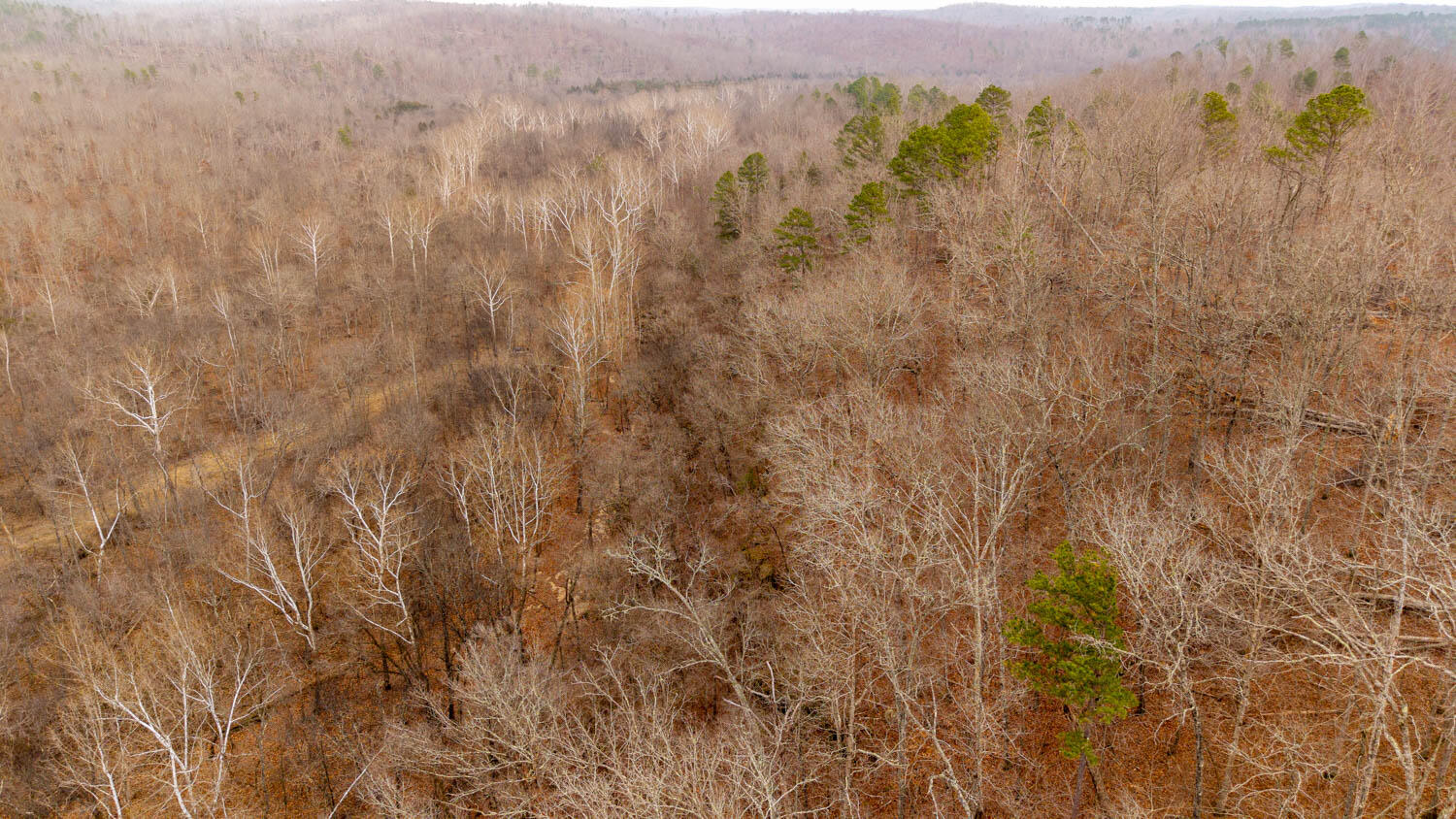 Photo 19 - Land for sale – 000  County Road 19-A   Alton, MO