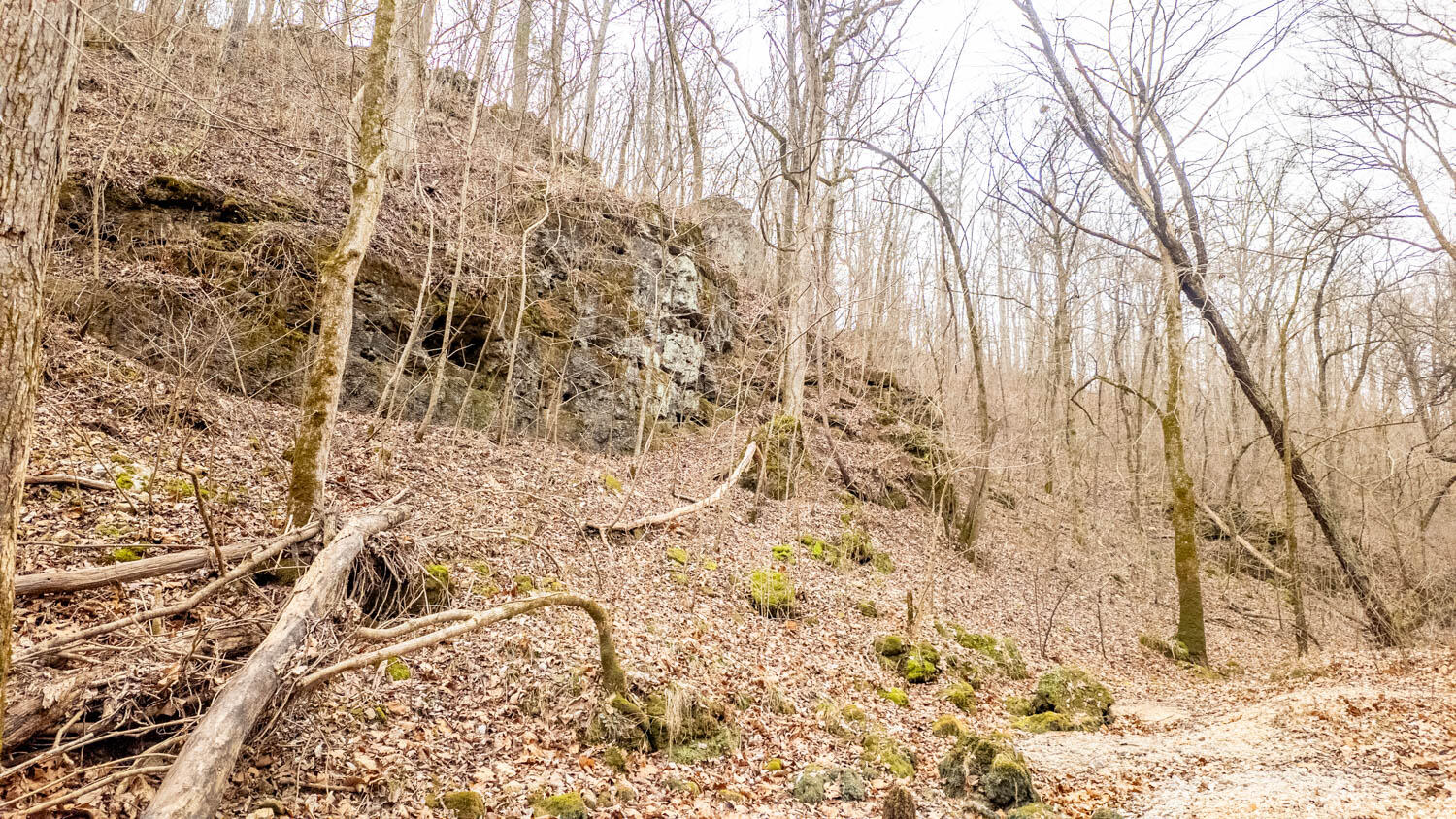 Photo 41 - Land for sale – 000  County Road 19-A   Alton, MO