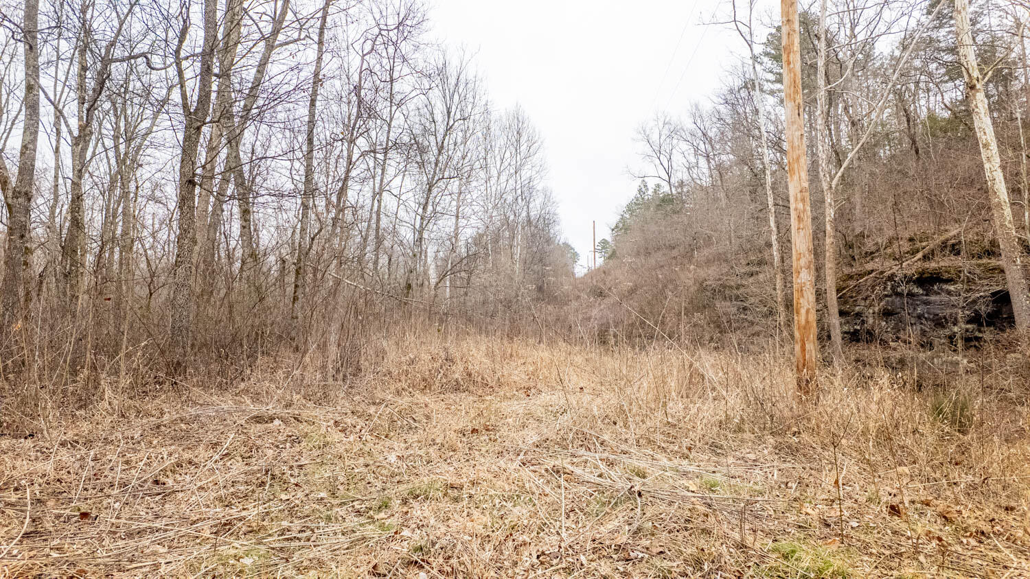 Photo 9 - Land for sale – 000  County Road 19-A   Alton, MO