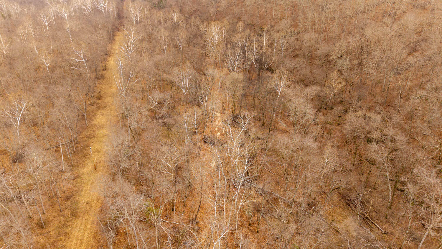 Photo 21 - Land for sale – 000  County Road 19-A   Alton, MO
