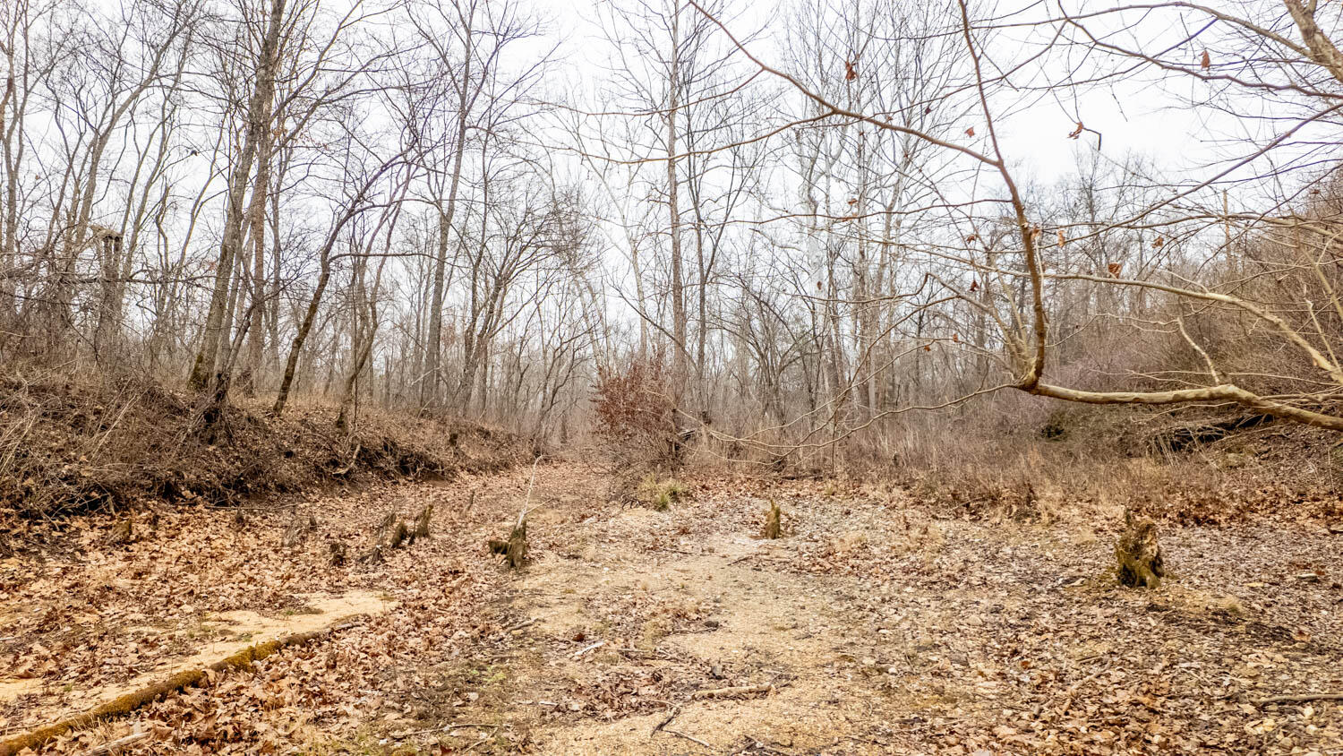 Photo 10 - Land for sale – 000  County Road 19-A   Alton, MO