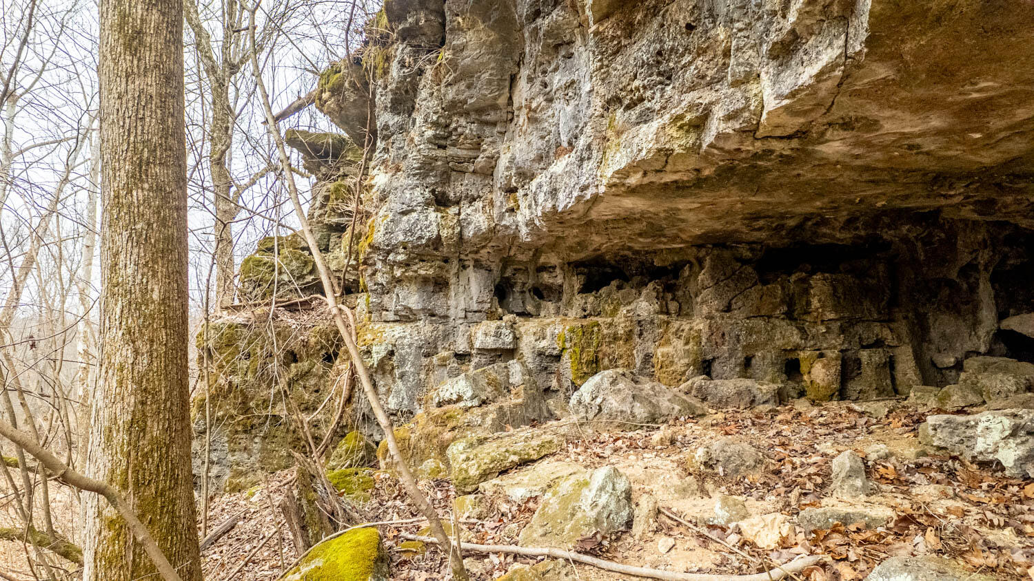 Photo 14 - Land for sale – 000  County Road 19-A   Alton, MO