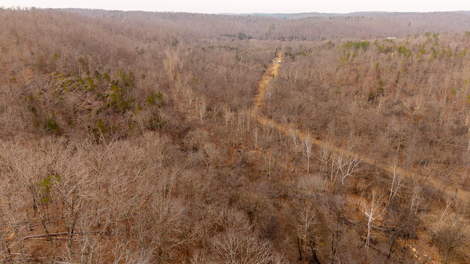 Photo 18 - Land for sale – 000  County Road 19-A   Alton, MO