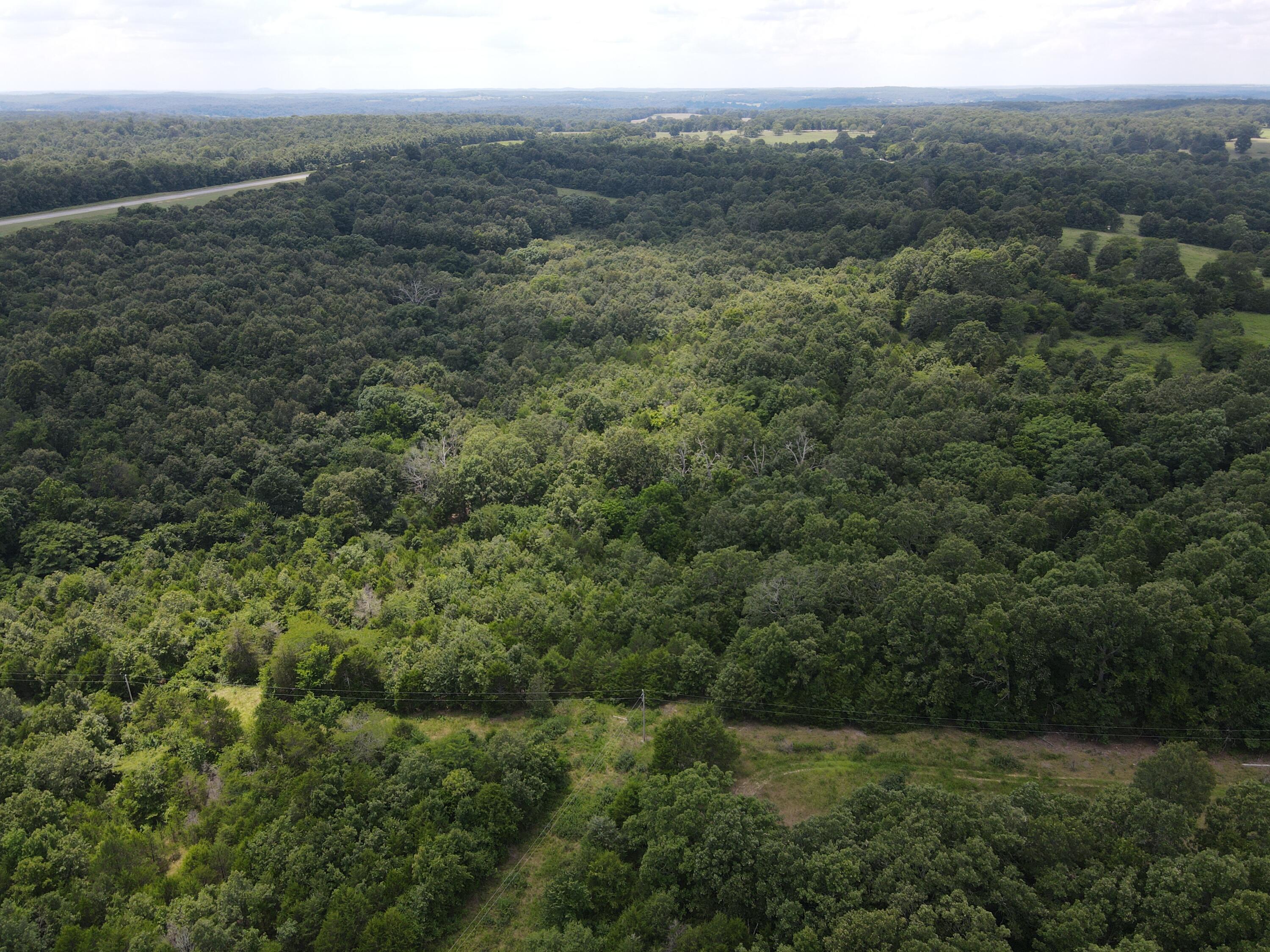 Photo 13 - Land for sale – 000  County Road 359   Thayer, MO