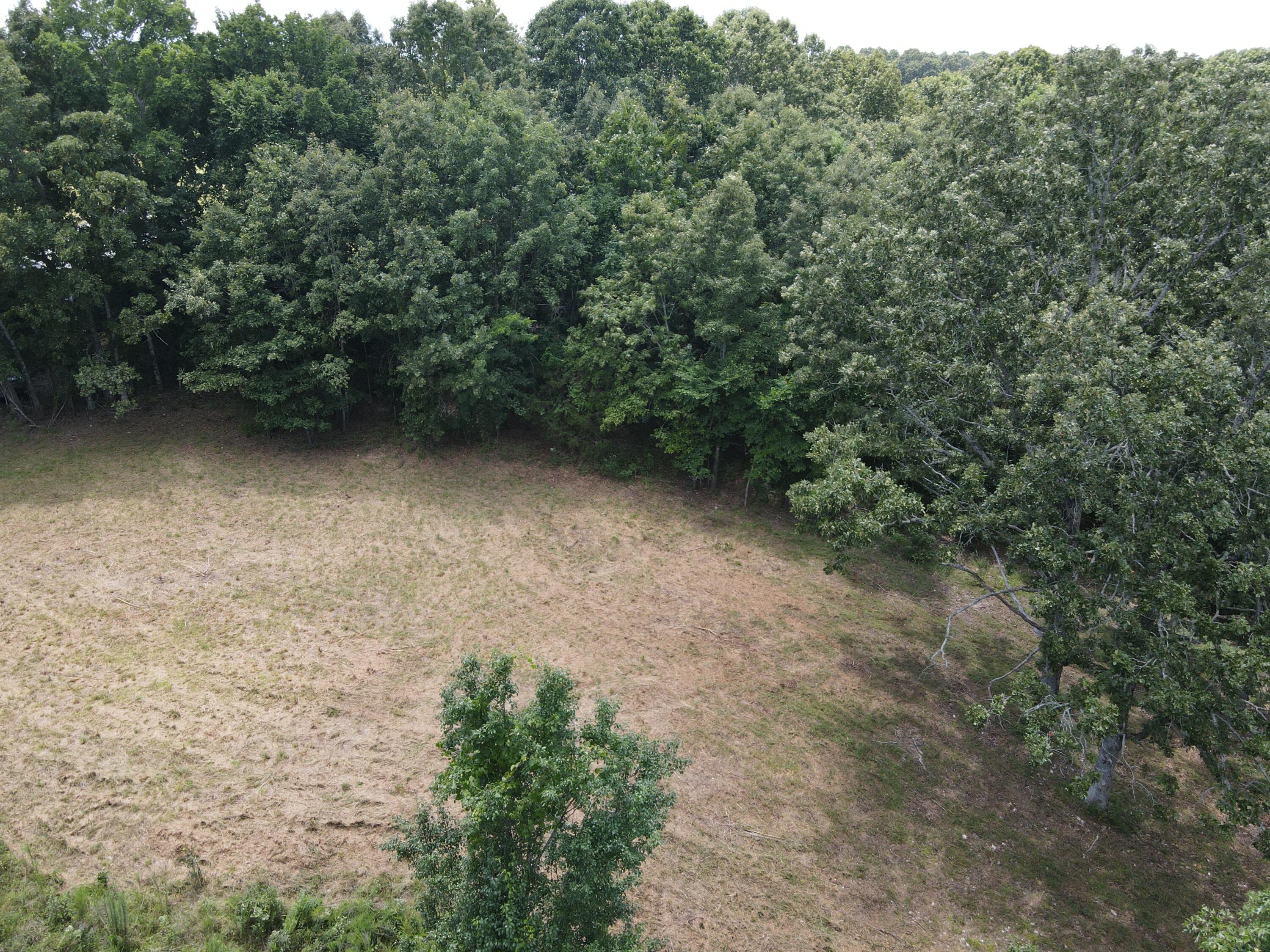 Photo 7 - Land for sale – 000  County Road 359   Thayer, MO