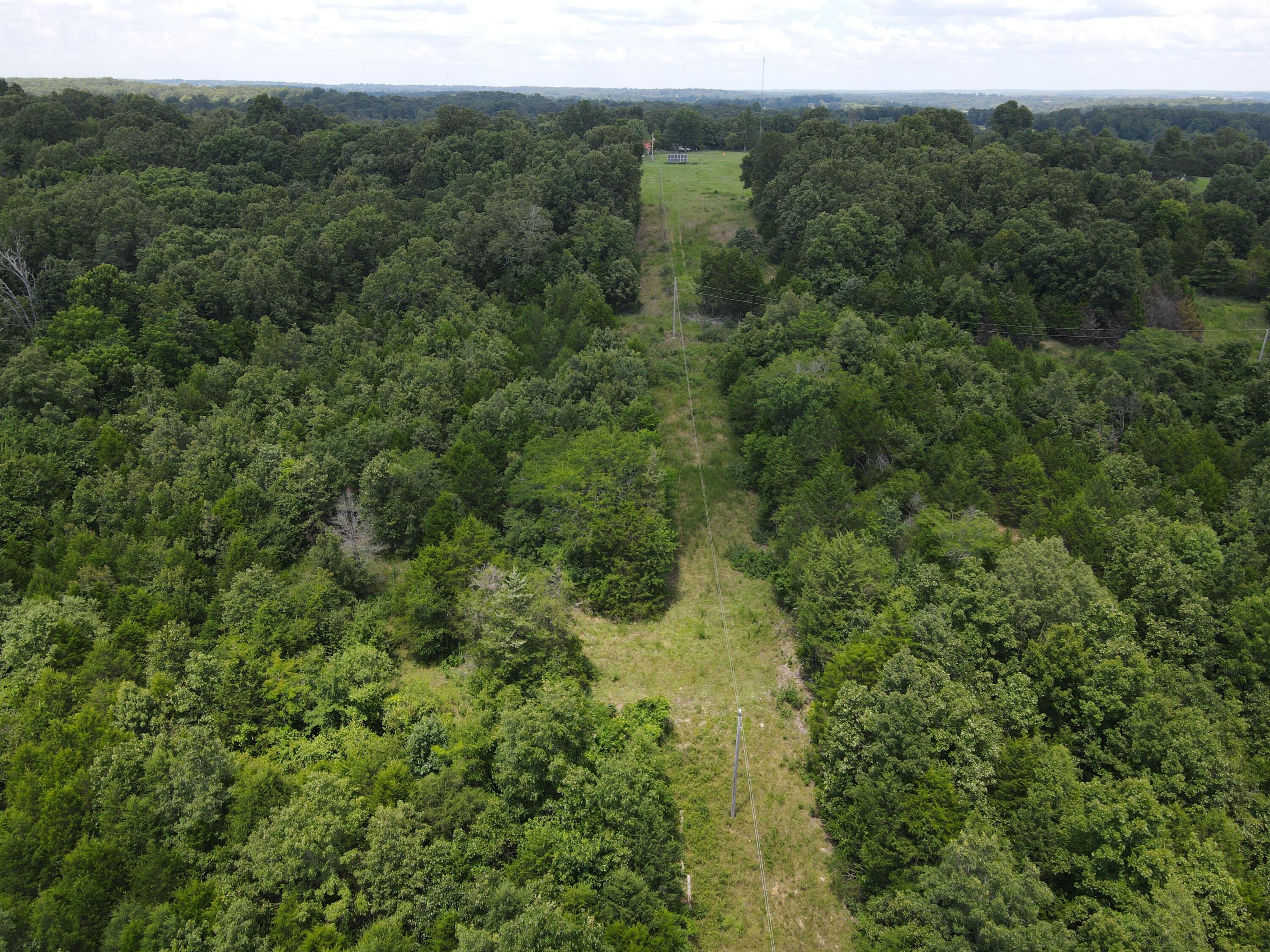 Photo 10 - Land for sale – 000  County Road 359   Thayer, MO