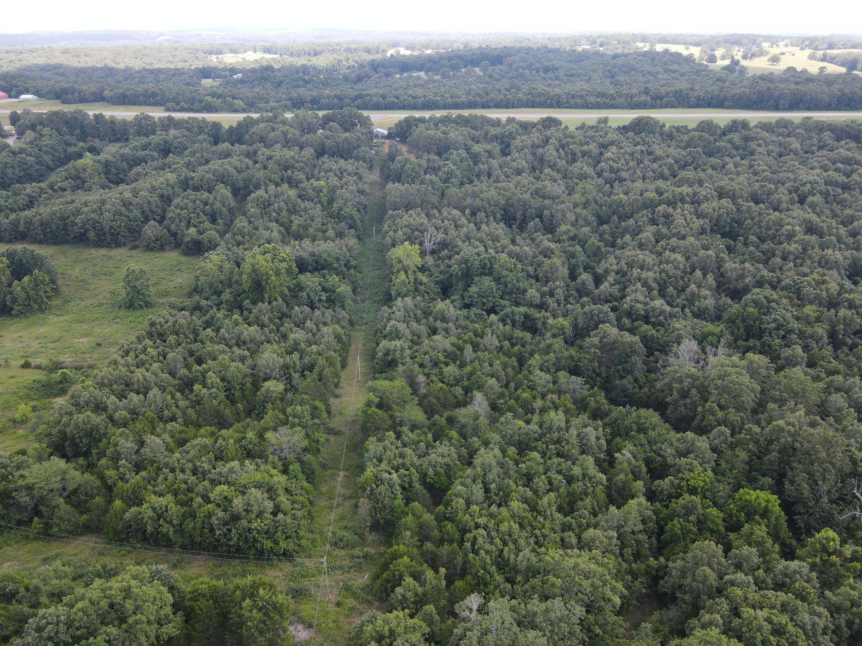 Photo 22 - Land for sale – 000  County Road 359   Thayer, MO