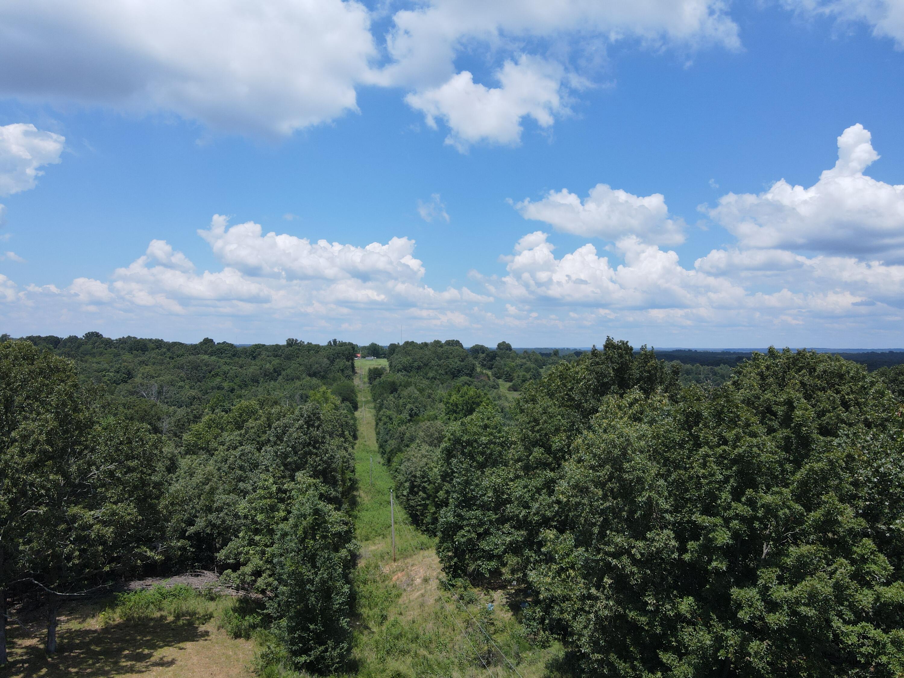 Land for sale – 000  County Road 359   Thayer, MO