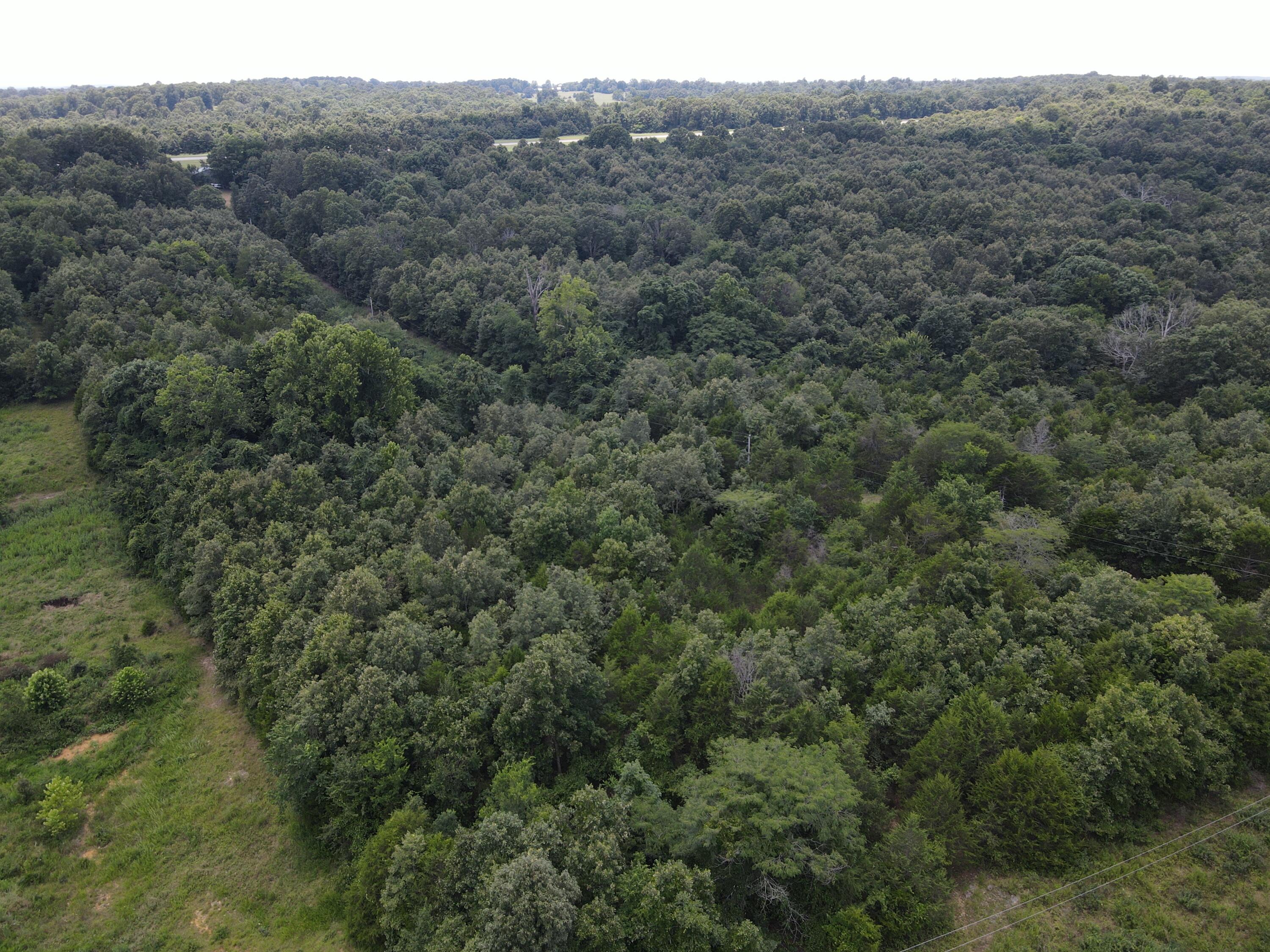 Photo 11 - Land for sale – 000  County Road 359   Thayer, MO