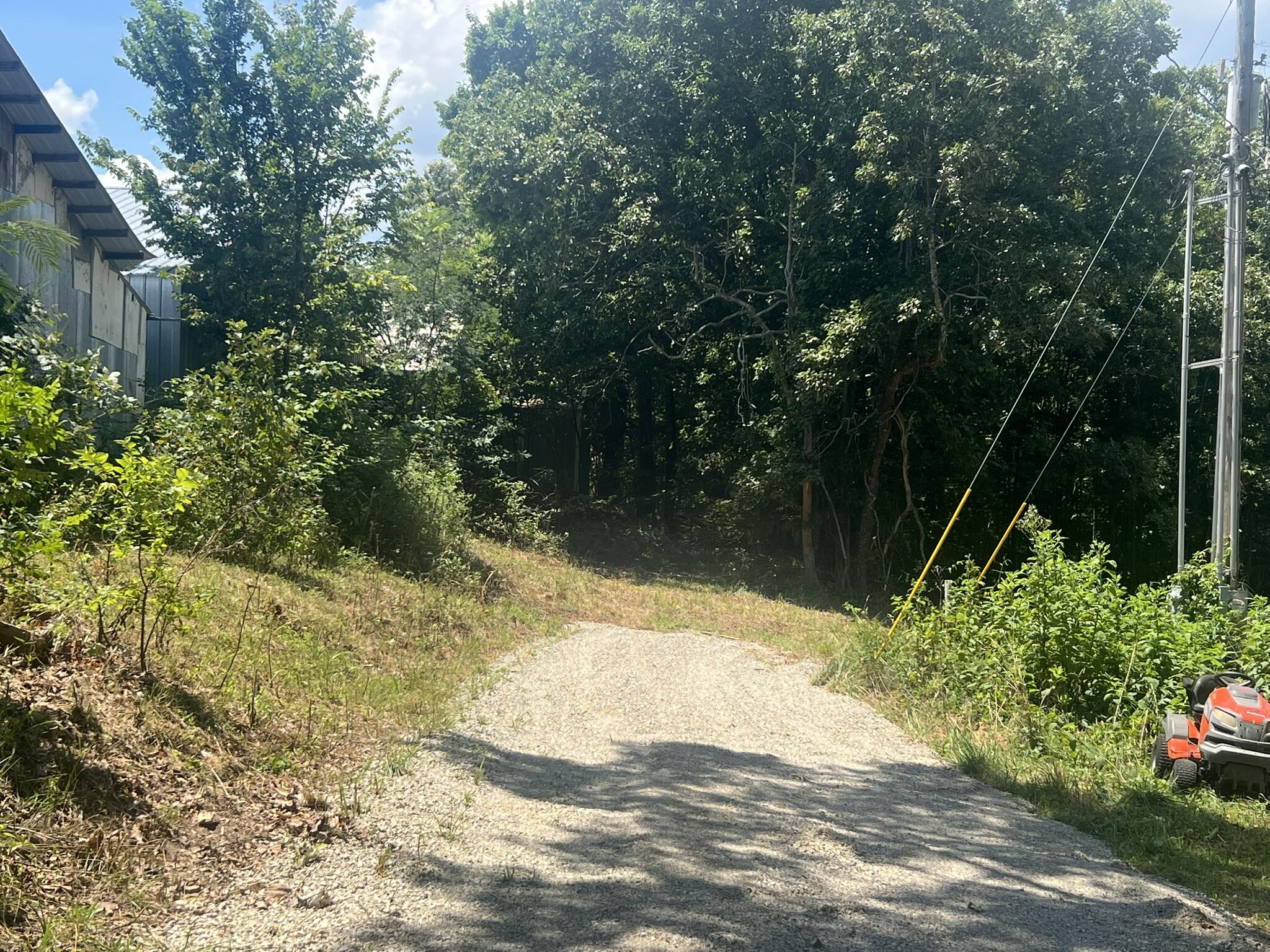 Photo 3 - Land for sale – 000  County Road 359   Thayer, MO