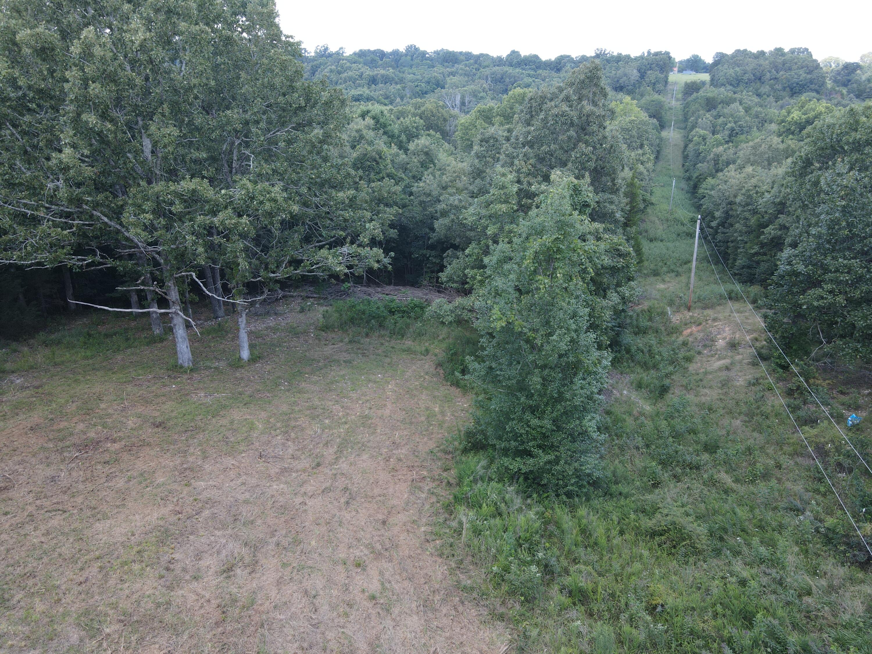 Photo 5 - Land for sale – 000  County Road 359   Thayer, MO
