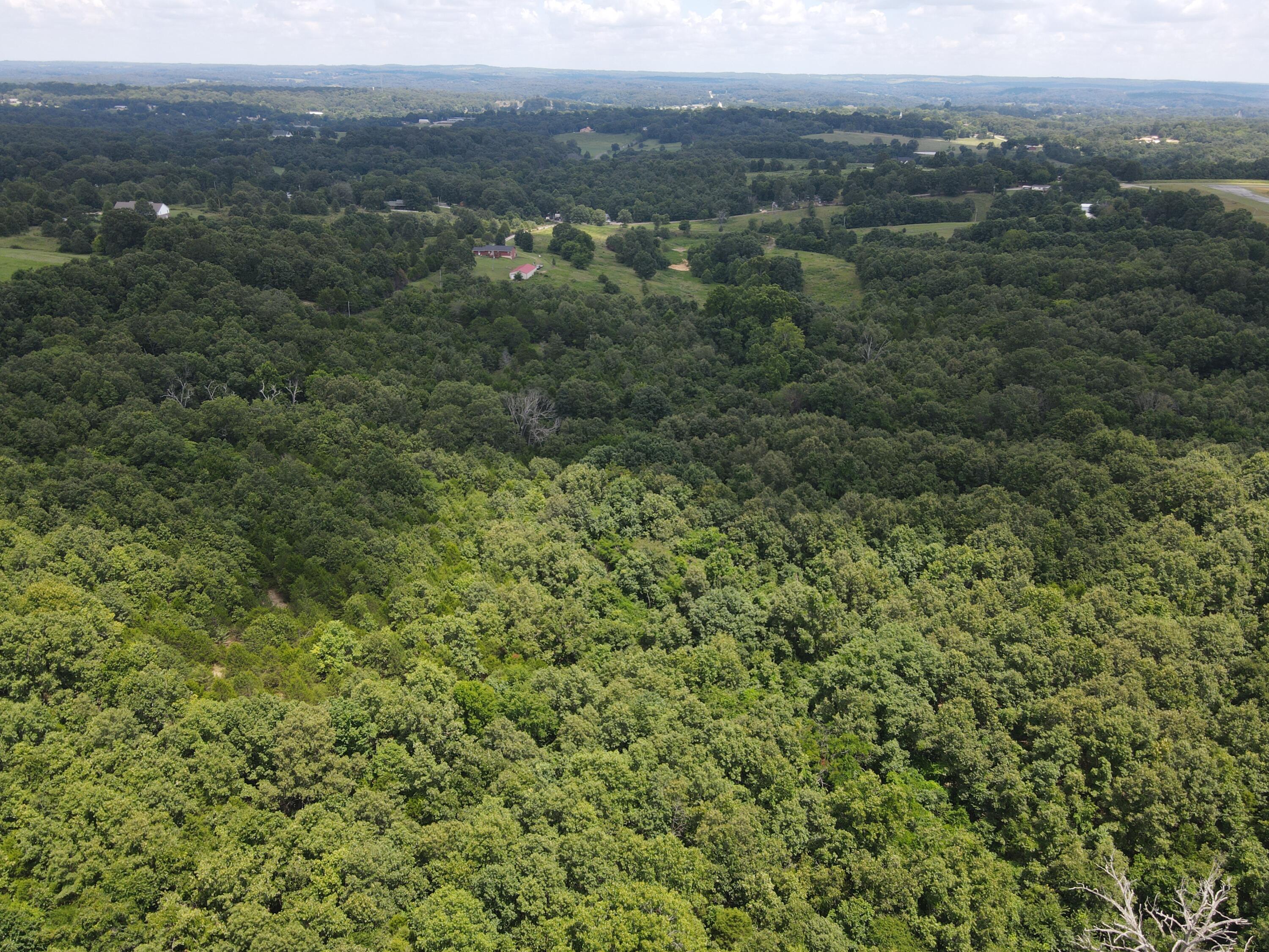 Photo 17 - Land for sale – 000  County Road 359   Thayer, MO