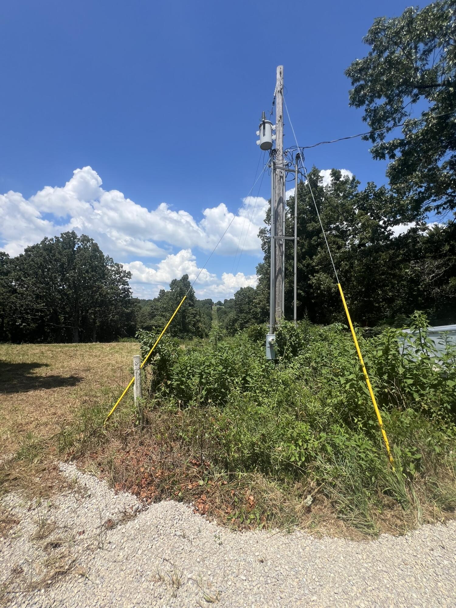 Photo 4 - Land for sale – 000  County Road 359   Thayer, MO