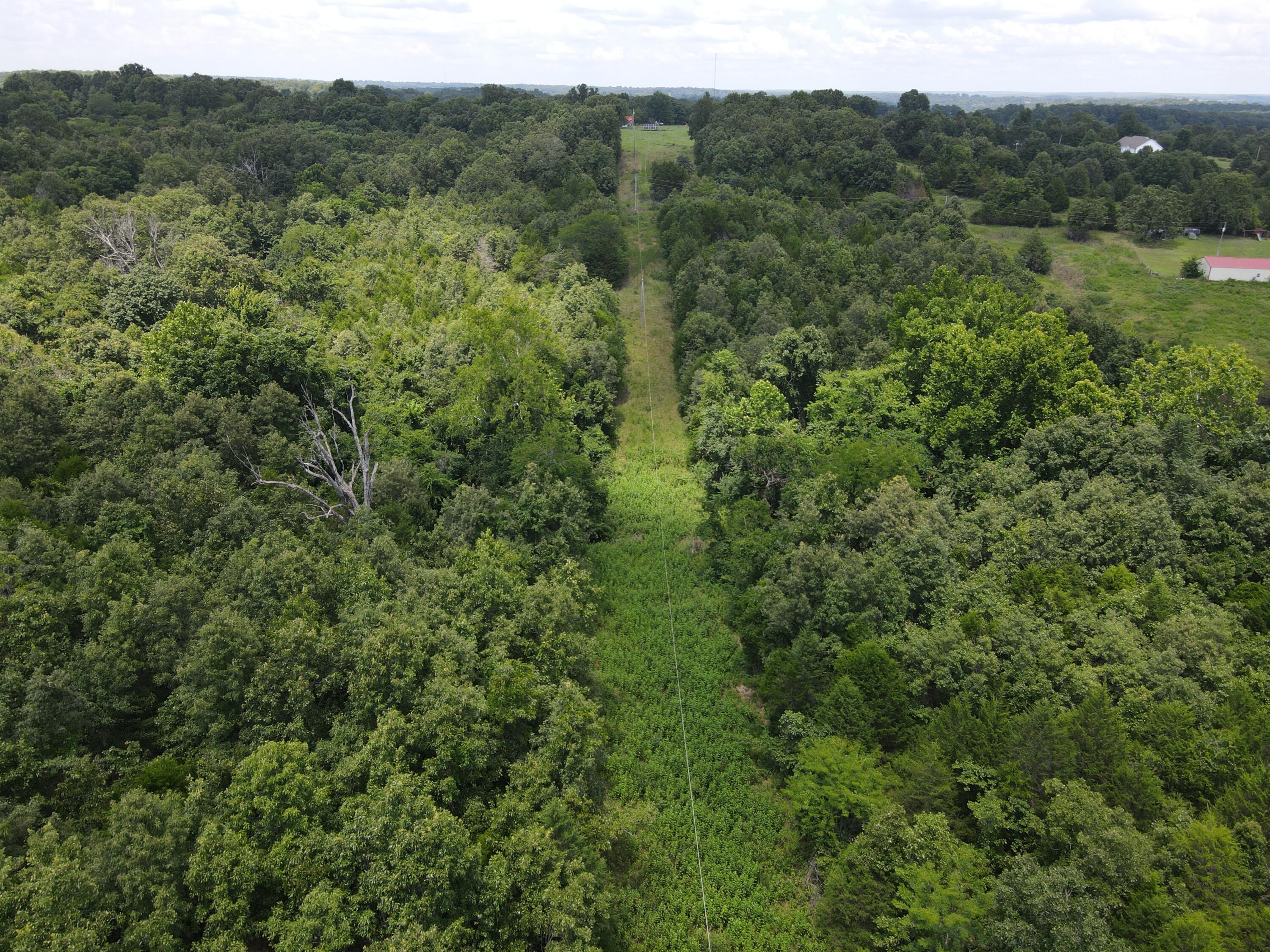 Photo 9 - Land for sale – 000  County Road 359   Thayer, MO