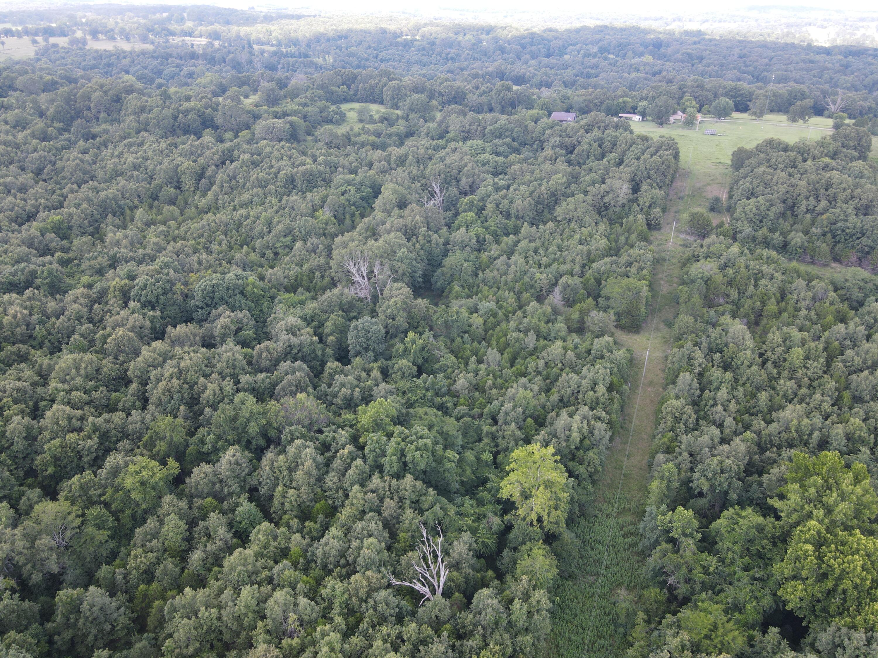 Photo 24 - Land for sale – 000  County Road 359   Thayer, MO