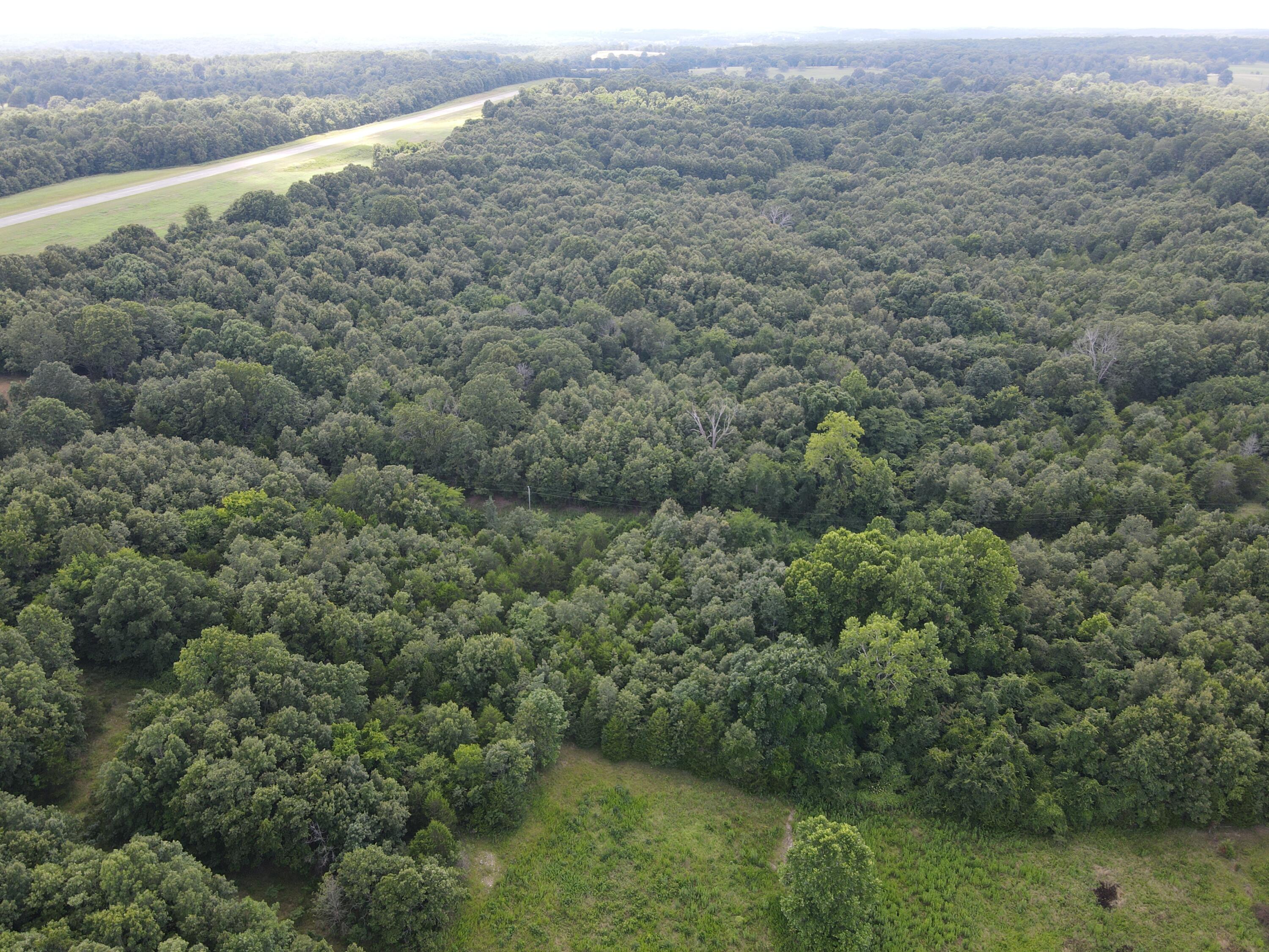 Photo 21 - Land for sale – 000  County Road 359   Thayer, MO