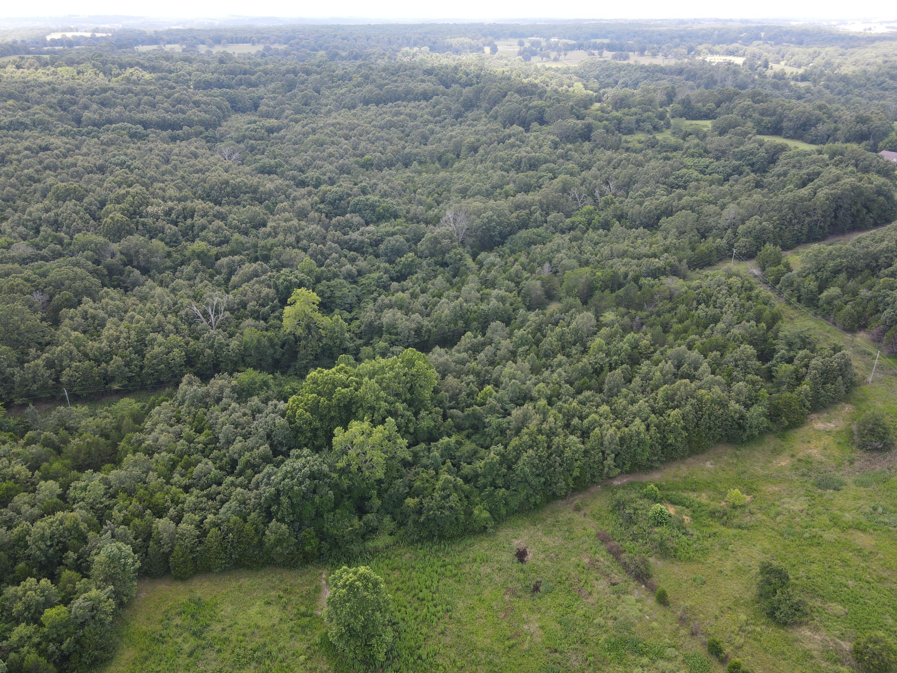 Photo 20 - Land for sale – 000  County Road 359   Thayer, MO