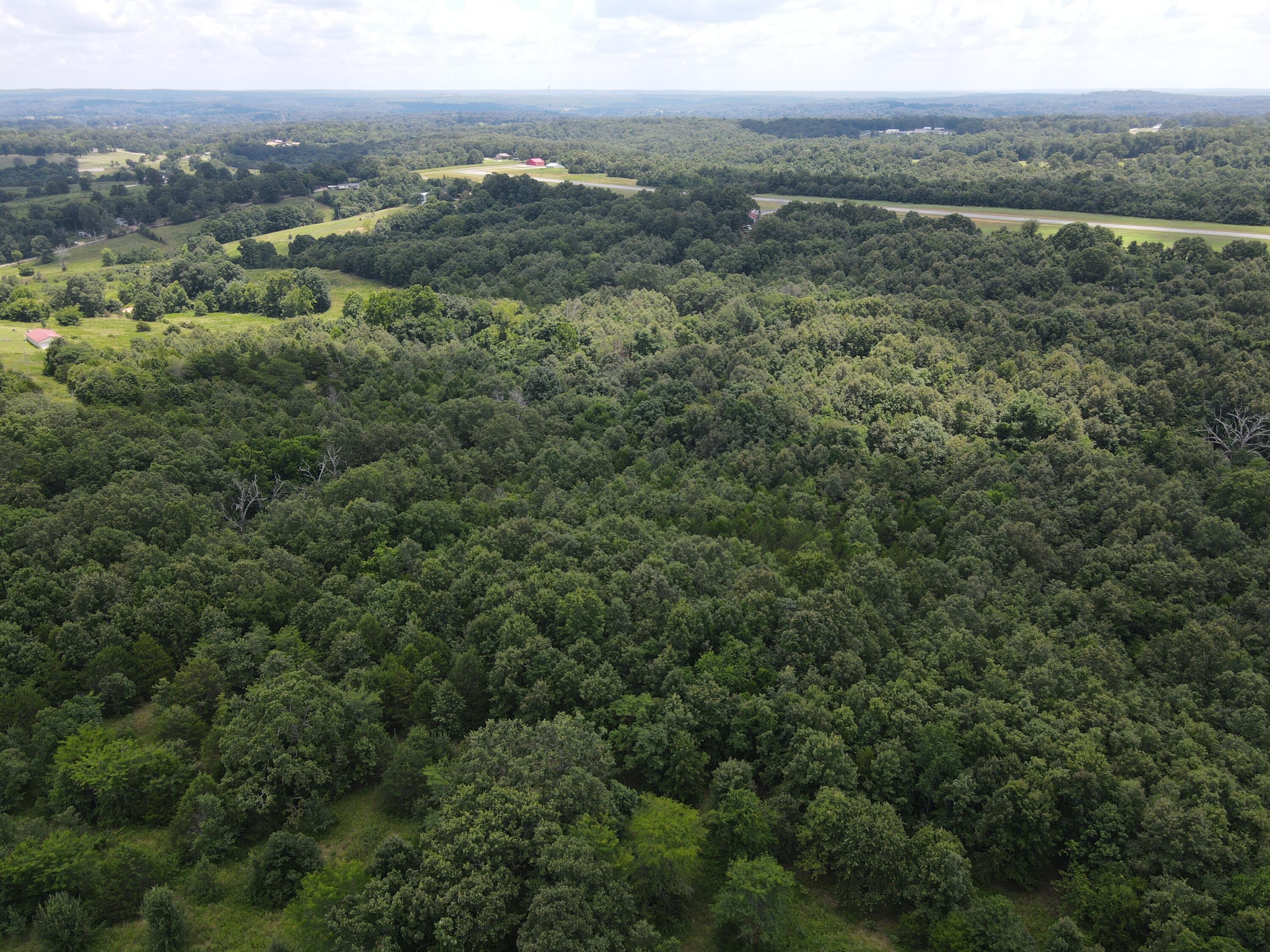 Photo 14 - Land for sale – 000  County Road 359   Thayer, MO