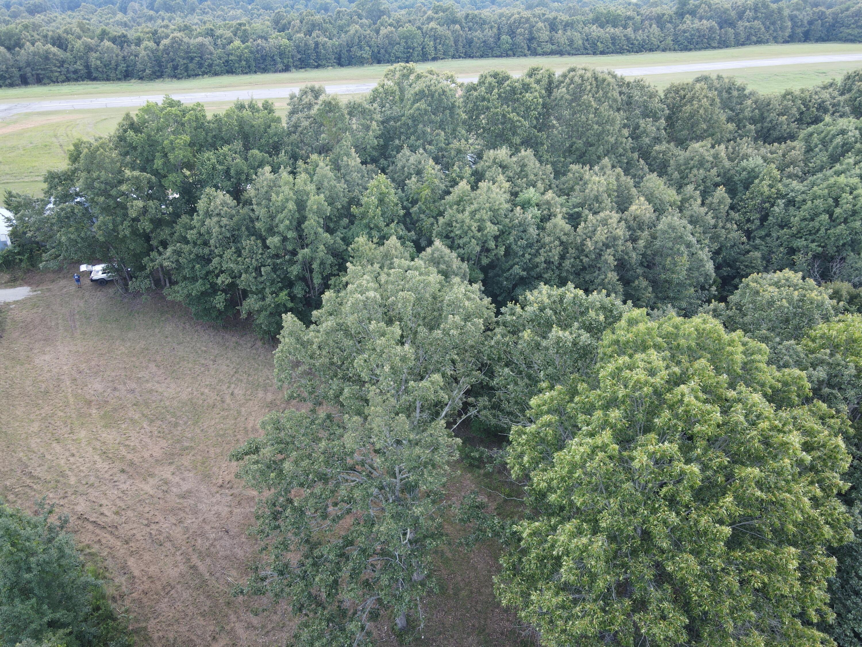 Photo 25 - Land for sale – 000  County Road 359   Thayer, MO