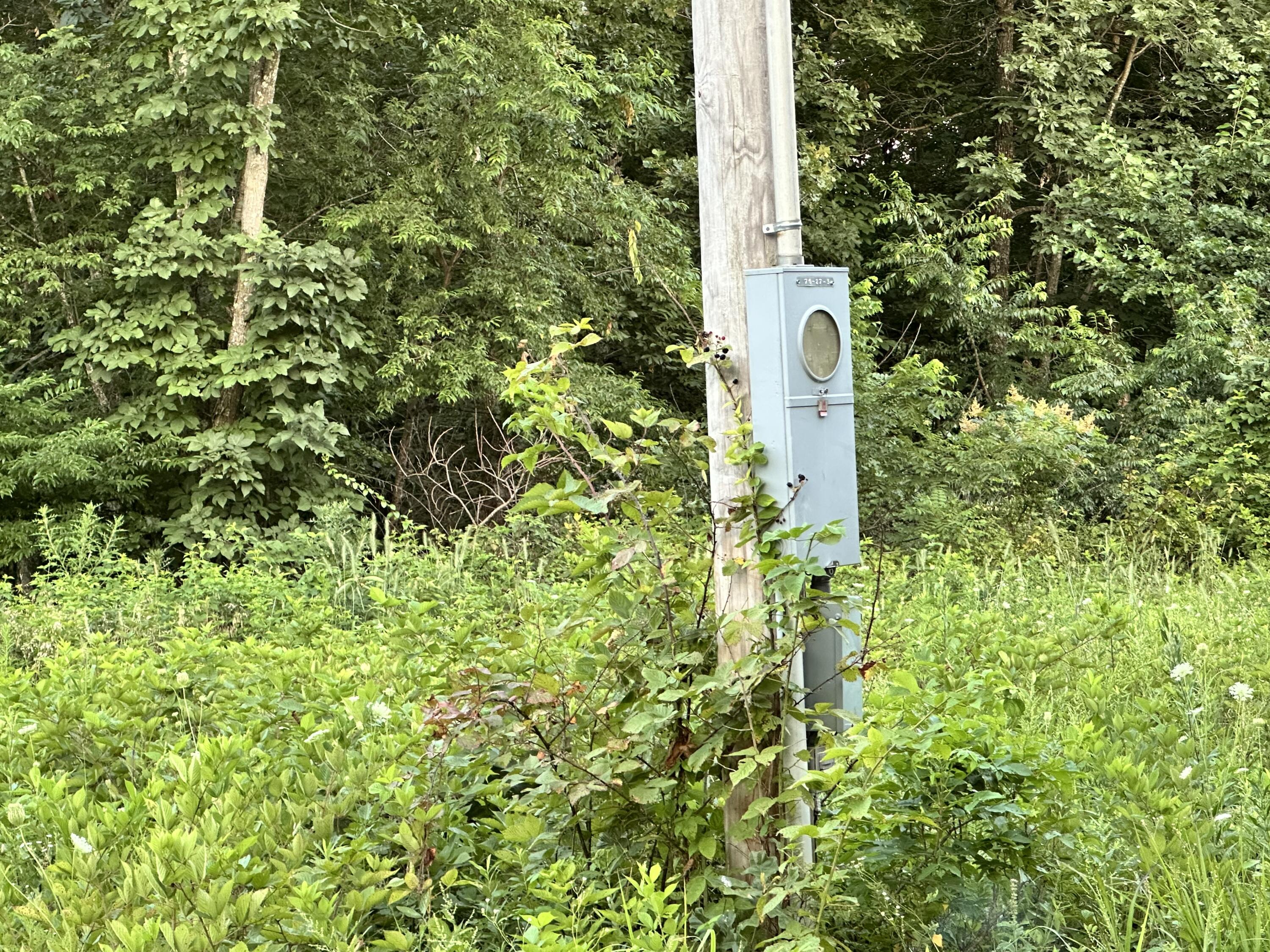 Photo 23 - Land for sale – 000  County Road 304   Alton, MO