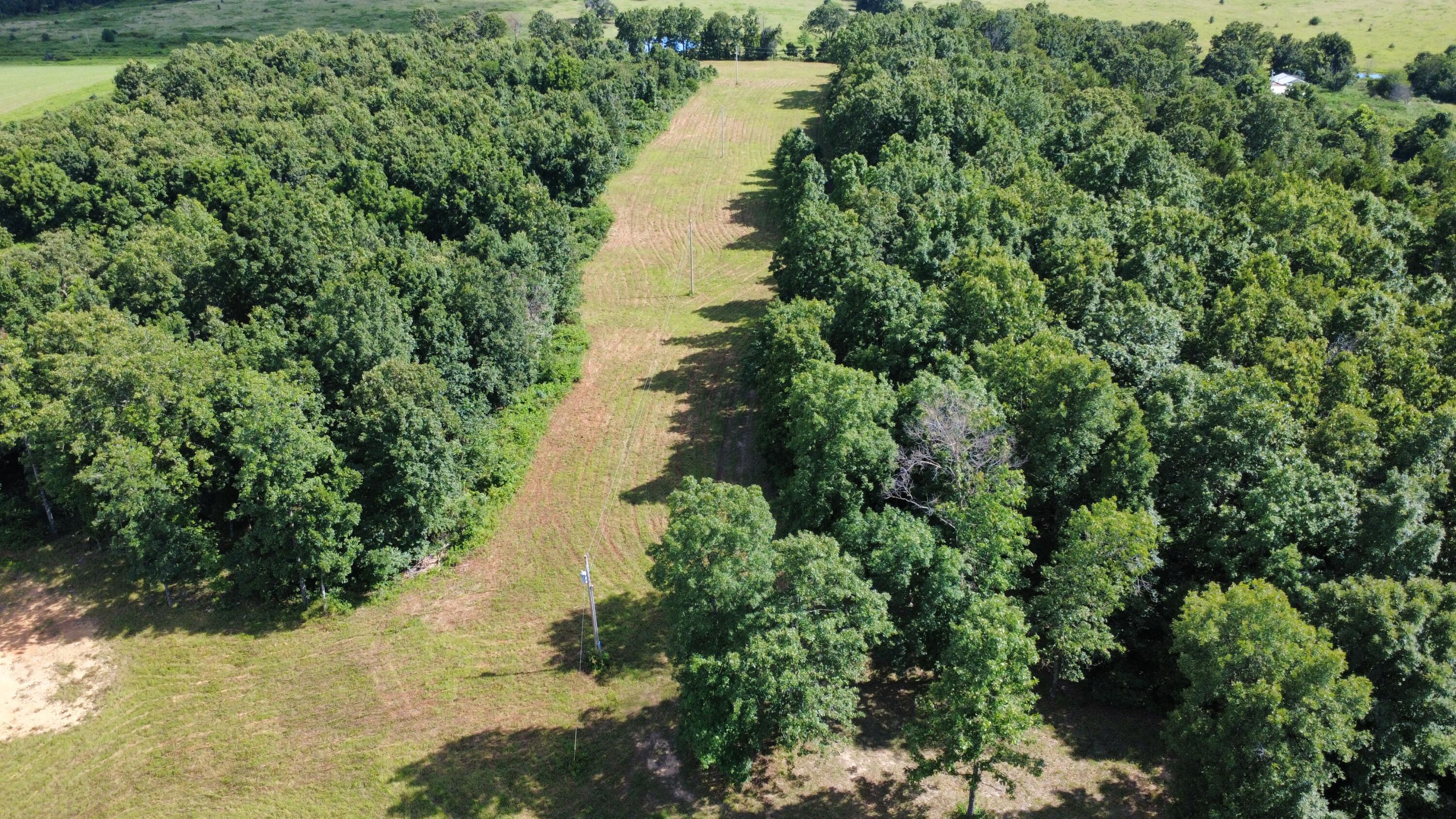 Photo 18 - Land for sale – 000  County Road 304   Alton, MO