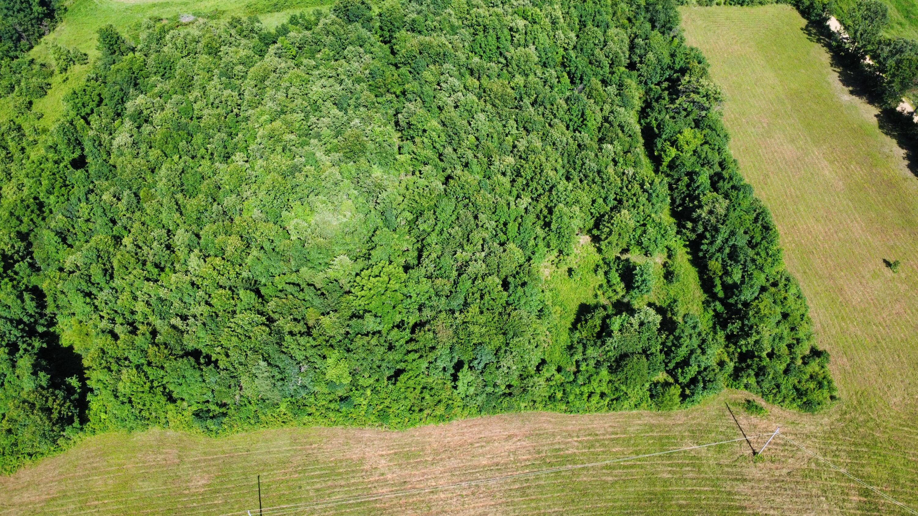 Photo 15 - Land for sale – 000  County Road 304   Alton, MO