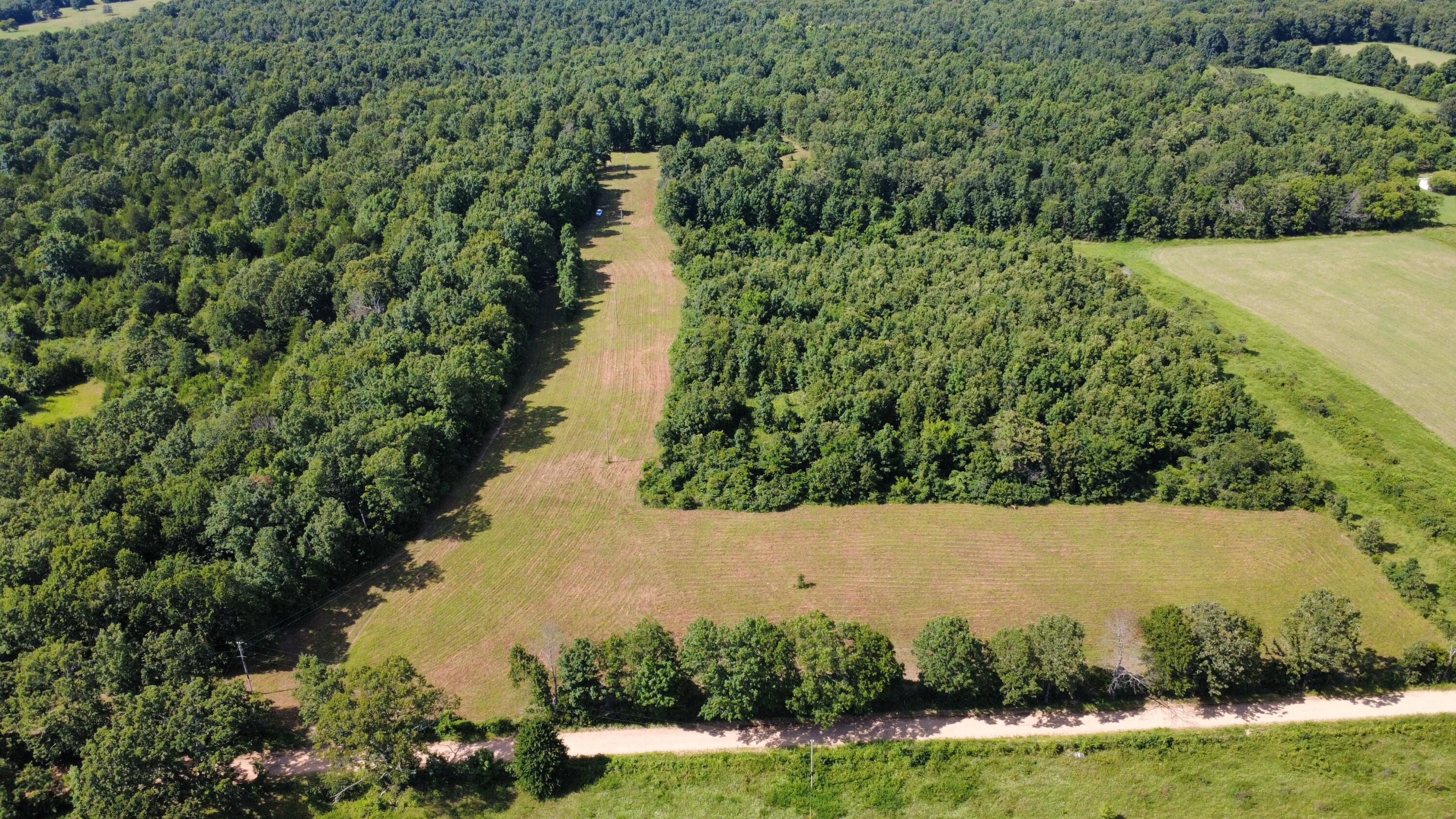 Photo 16 - Land for sale – 000  County Road 304   Alton, MO