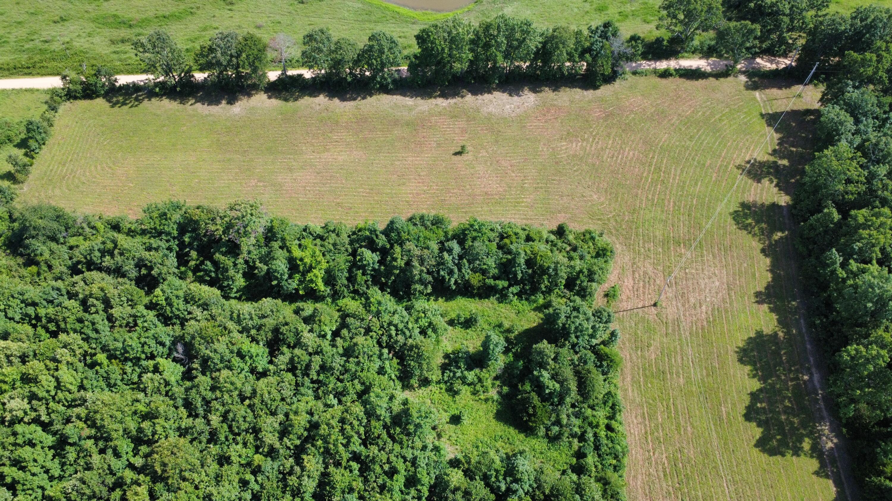 Photo 17 - Land for sale – 000  County Road 304   Alton, MO