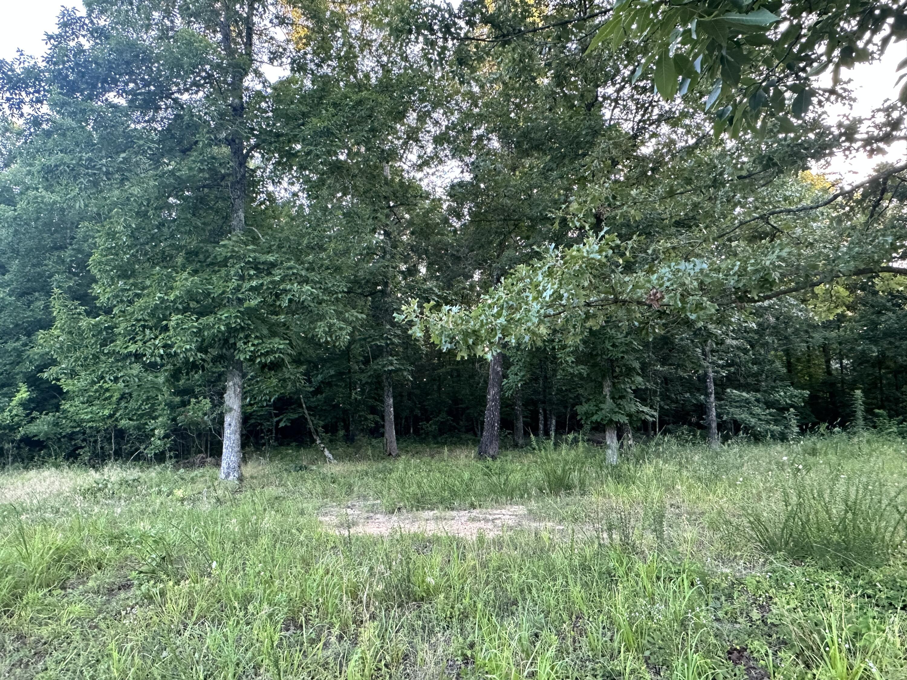 Photo 26 - Land for sale – 000  County Road 304   Alton, MO