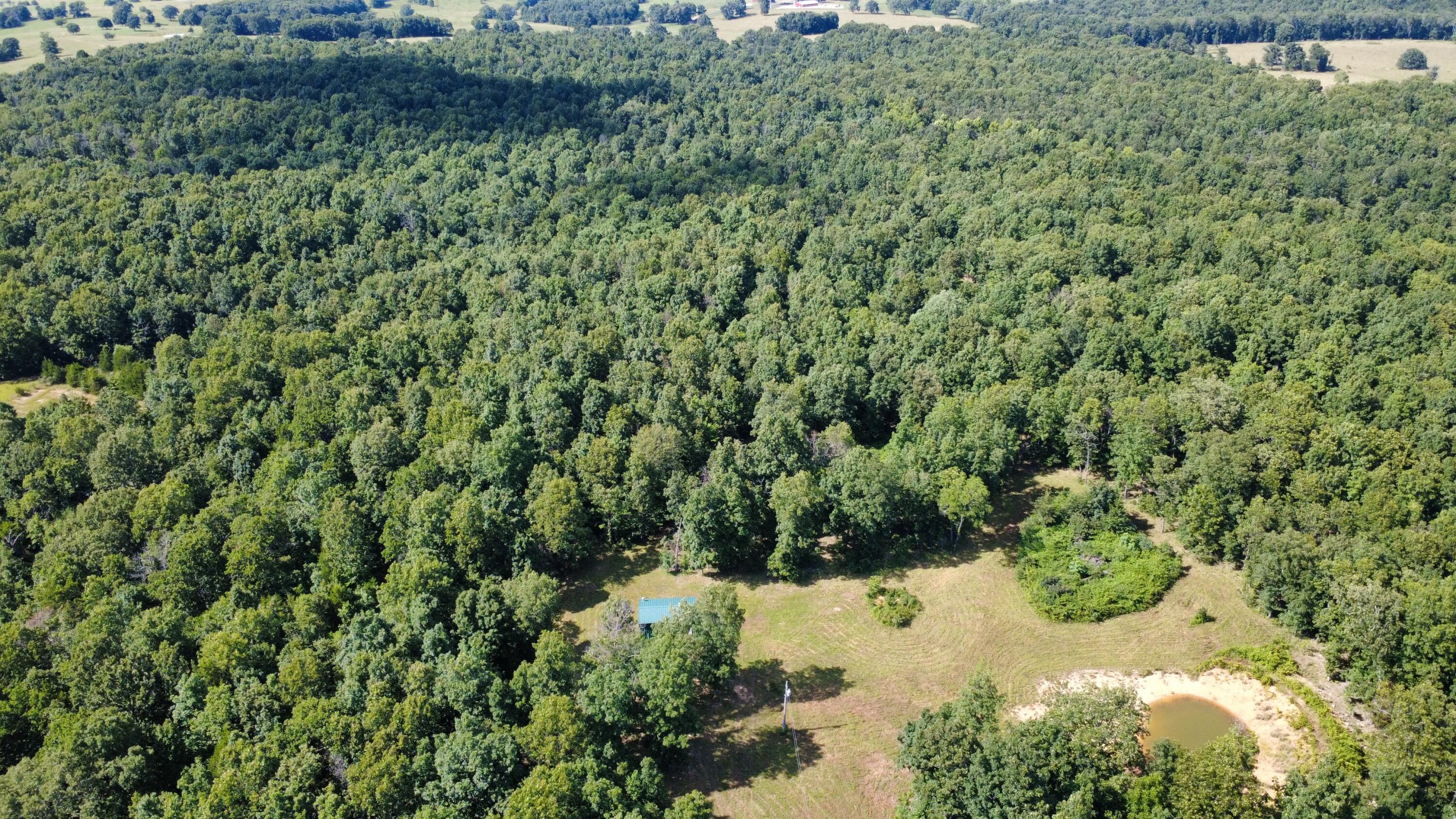 Photo 13 - Land for sale – 000  County Road 304   Alton, MO