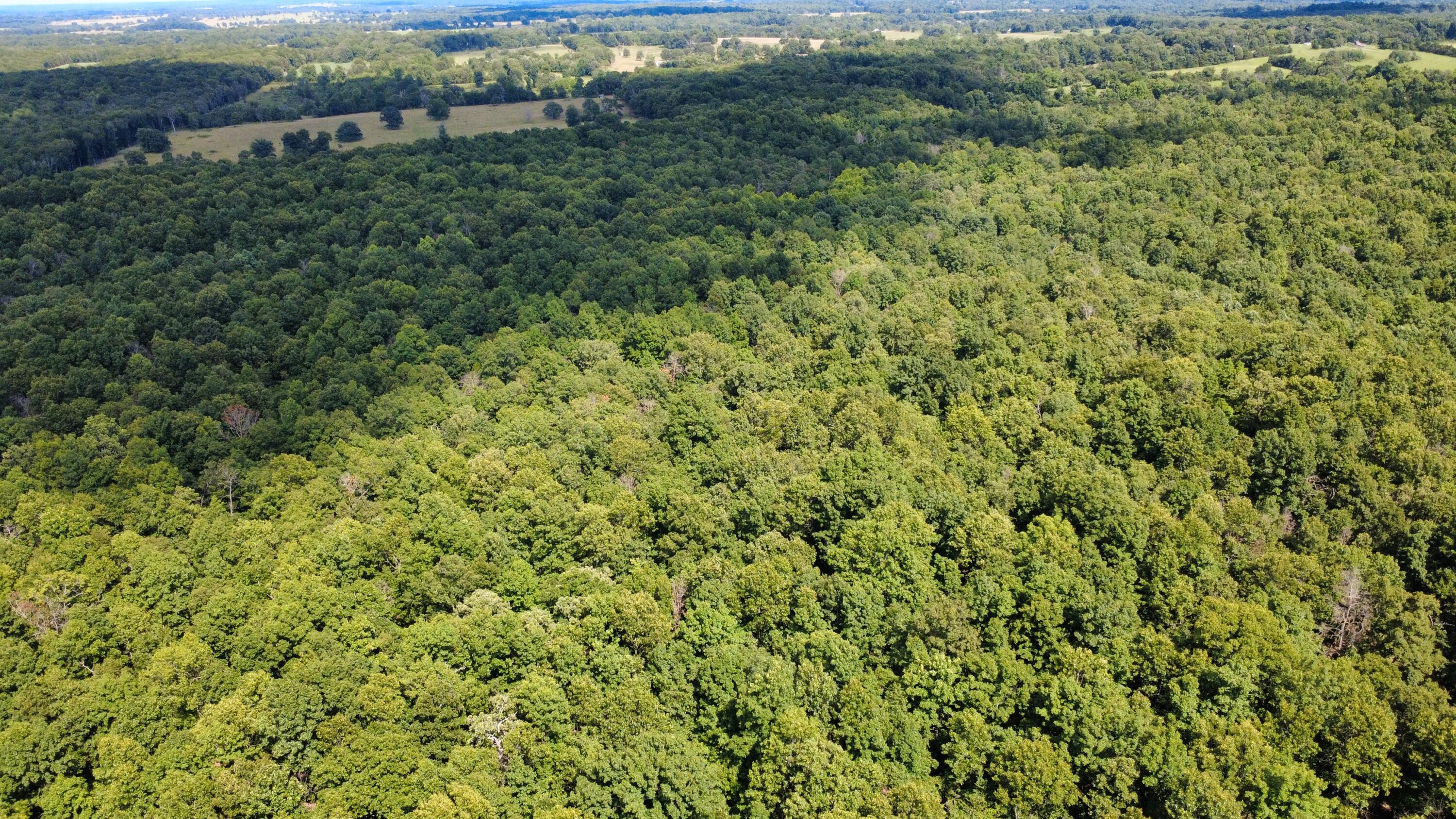 Photo 22 - Land for sale – 000  County Road 304   Alton, MO